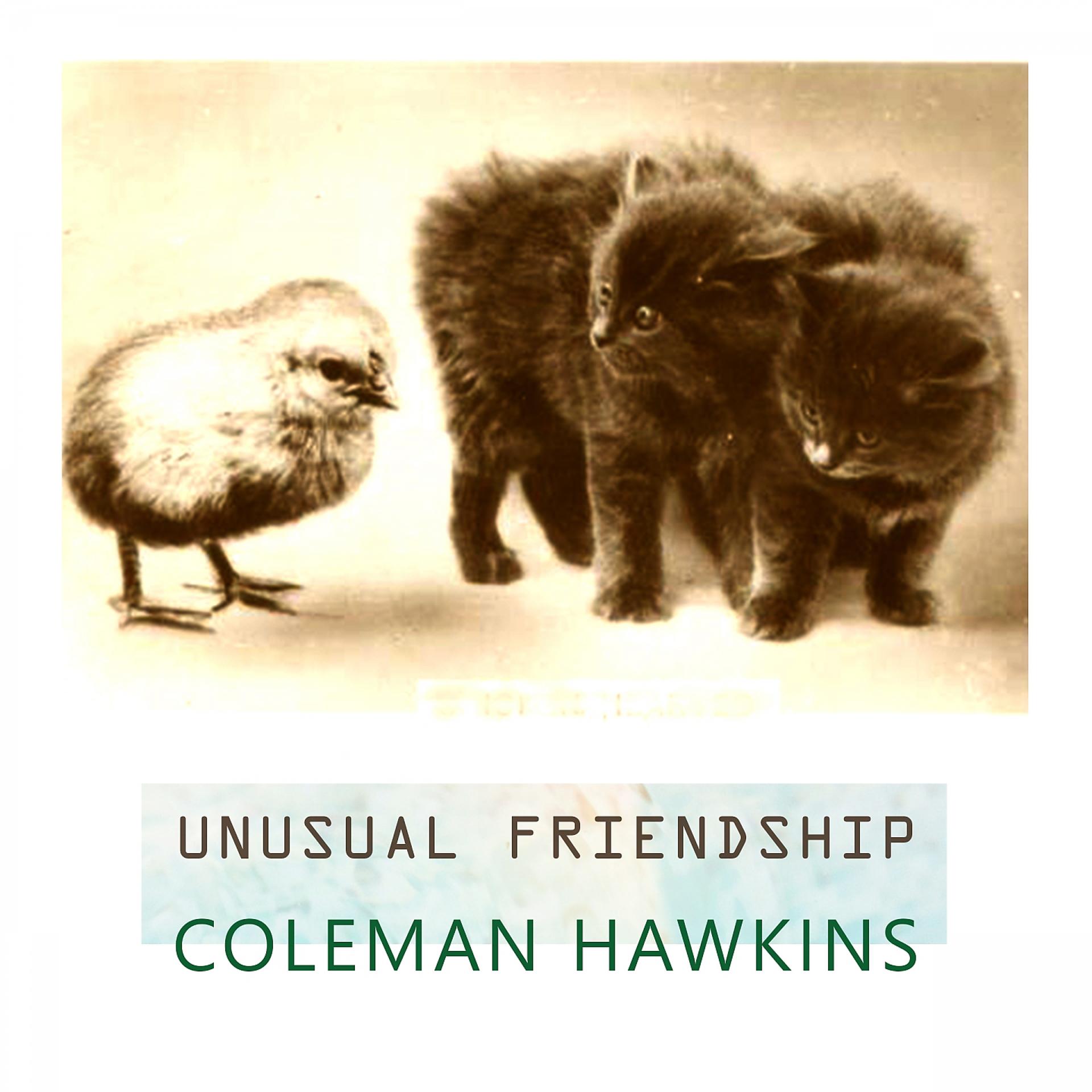 Постер альбома Unusual Friendship