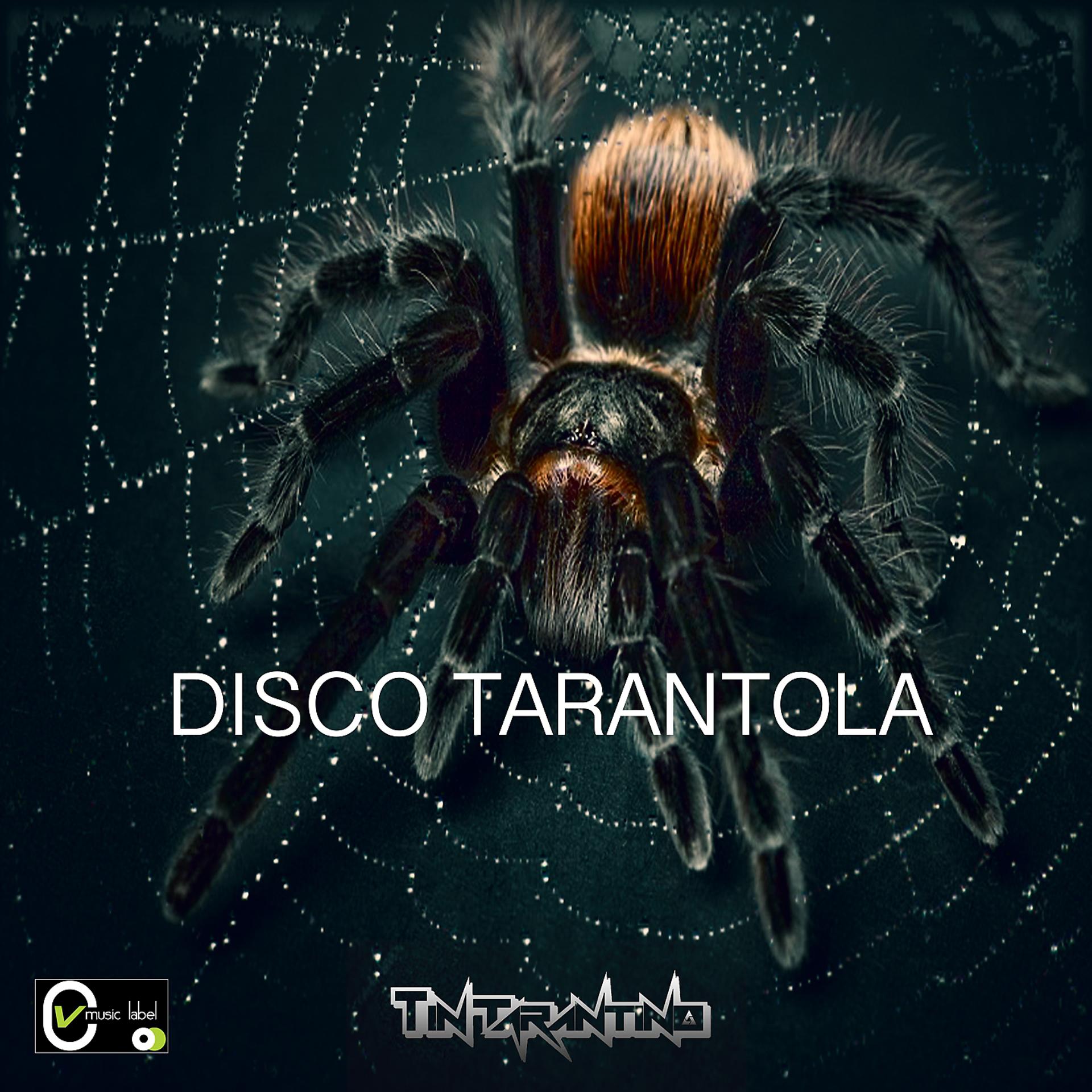 Постер альбома Disco tarantola