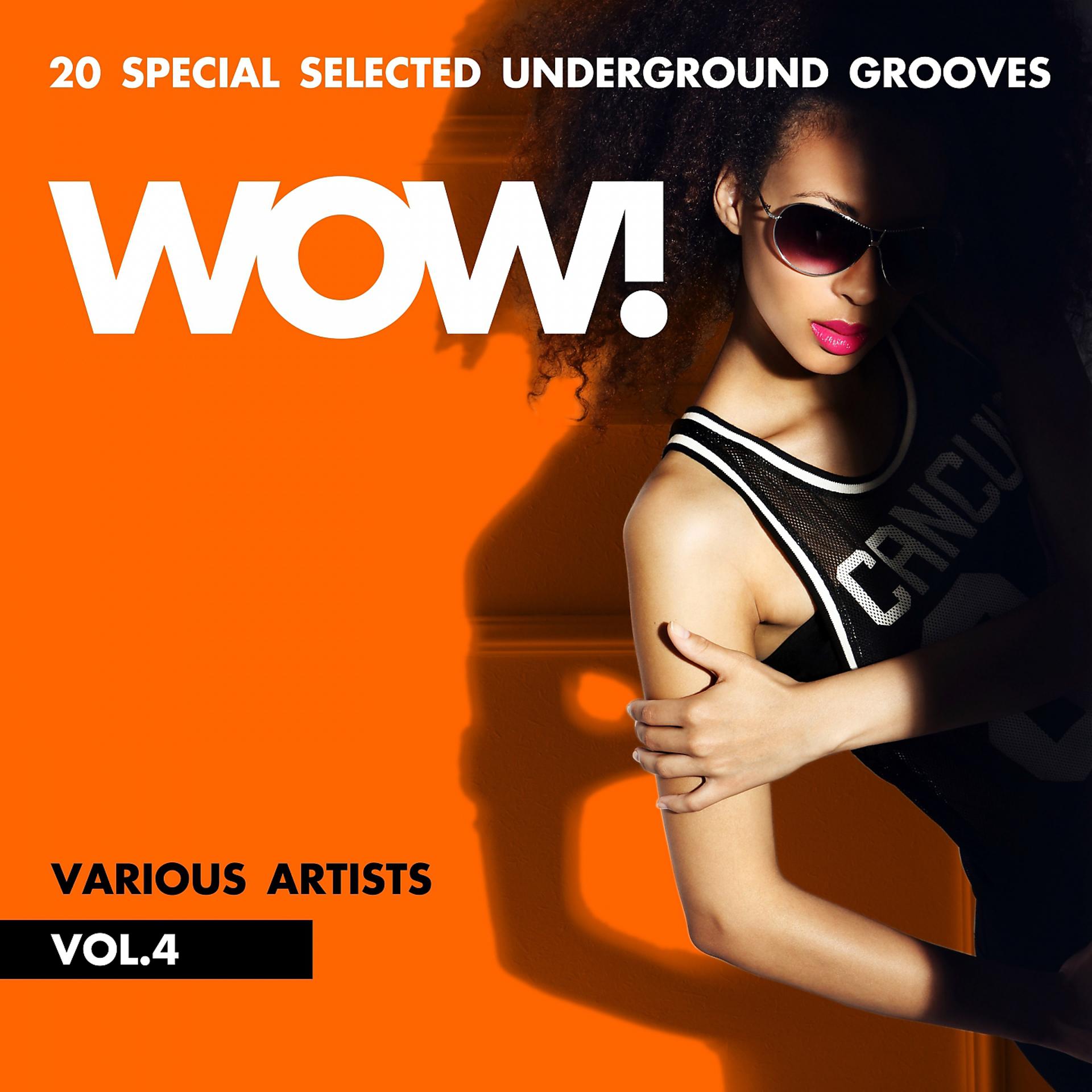 Постер альбома WOW! (20 Special Selected Underground Grooves), Vol. 4