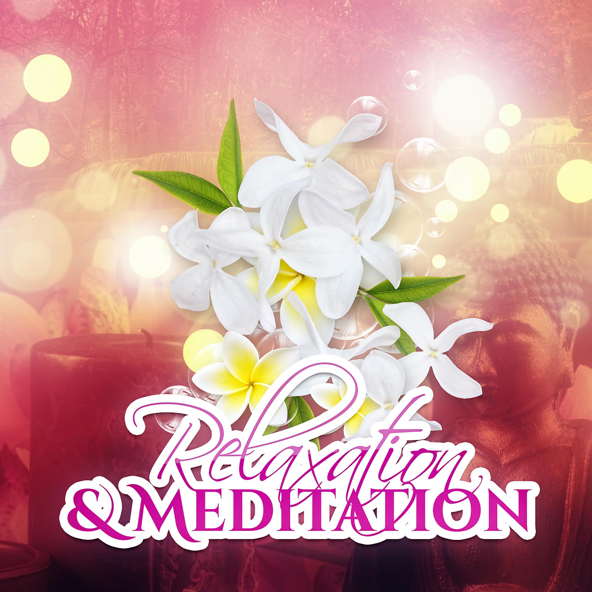 Постер альбома Relaxation & Meditation – Healing Harmony, Free Time, Good Day, Gentle Music