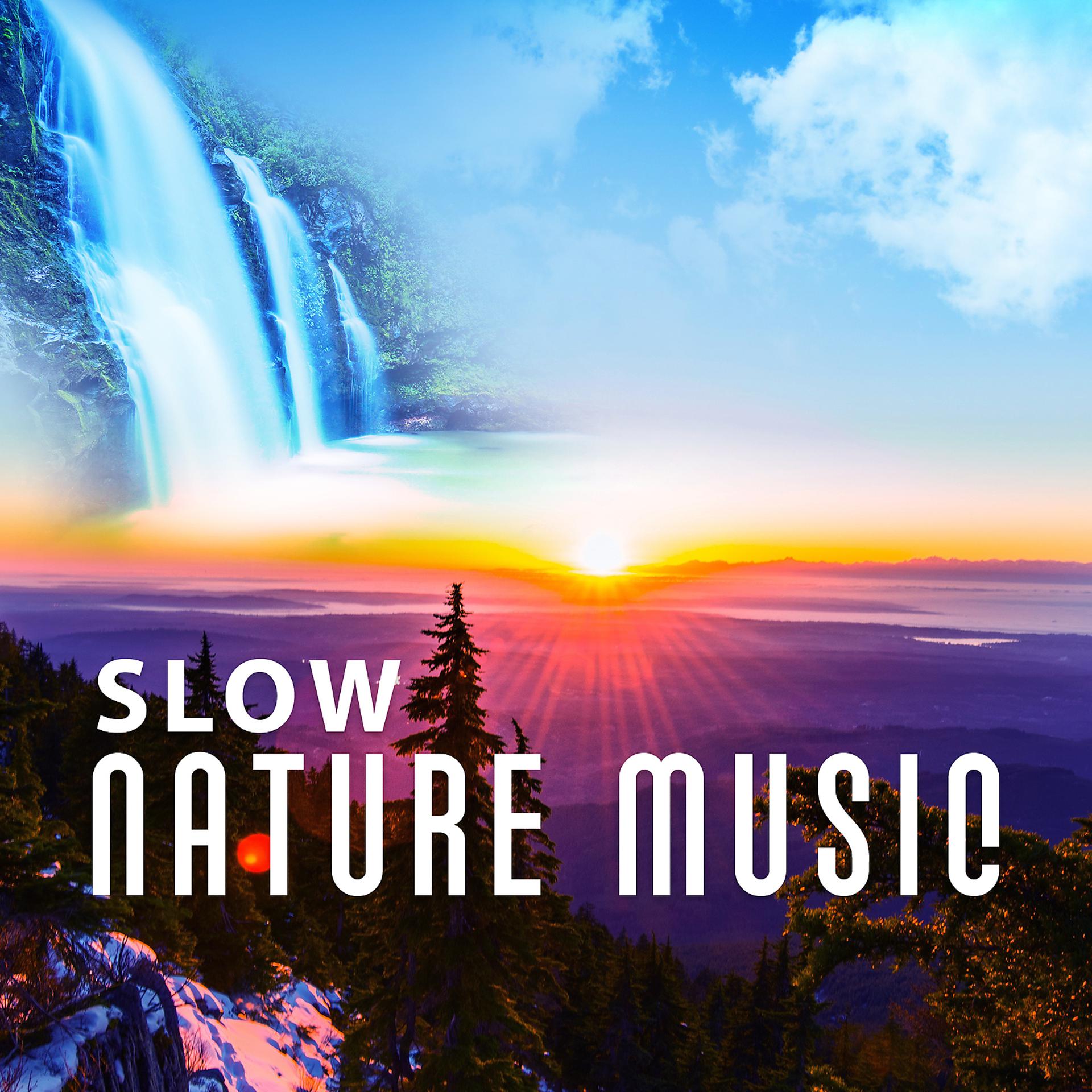 Постер альбома Slow Nature Music – Soothing Sounds, Relax Yourself, Calm Meditation