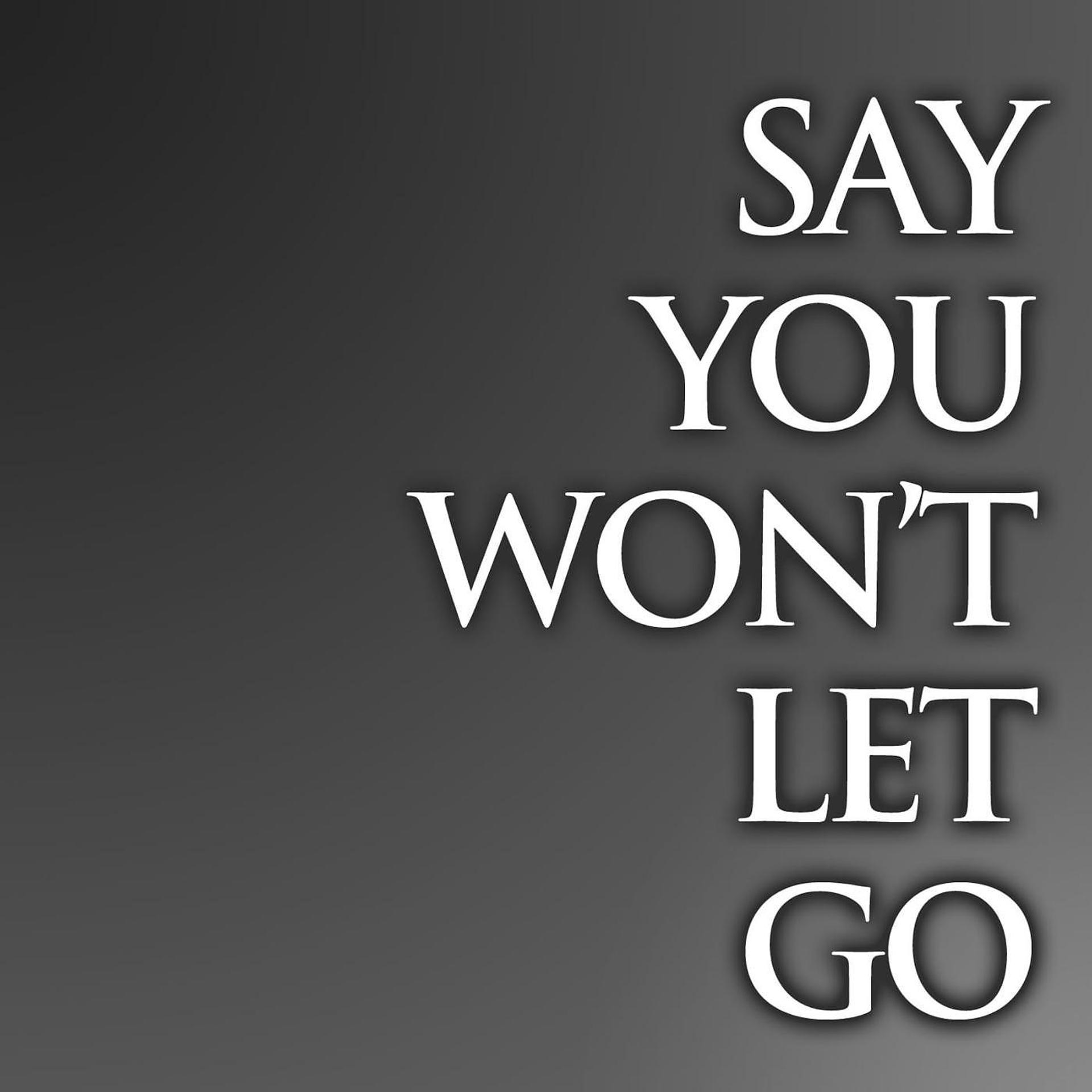 Постер альбома Say You Wont Let Go