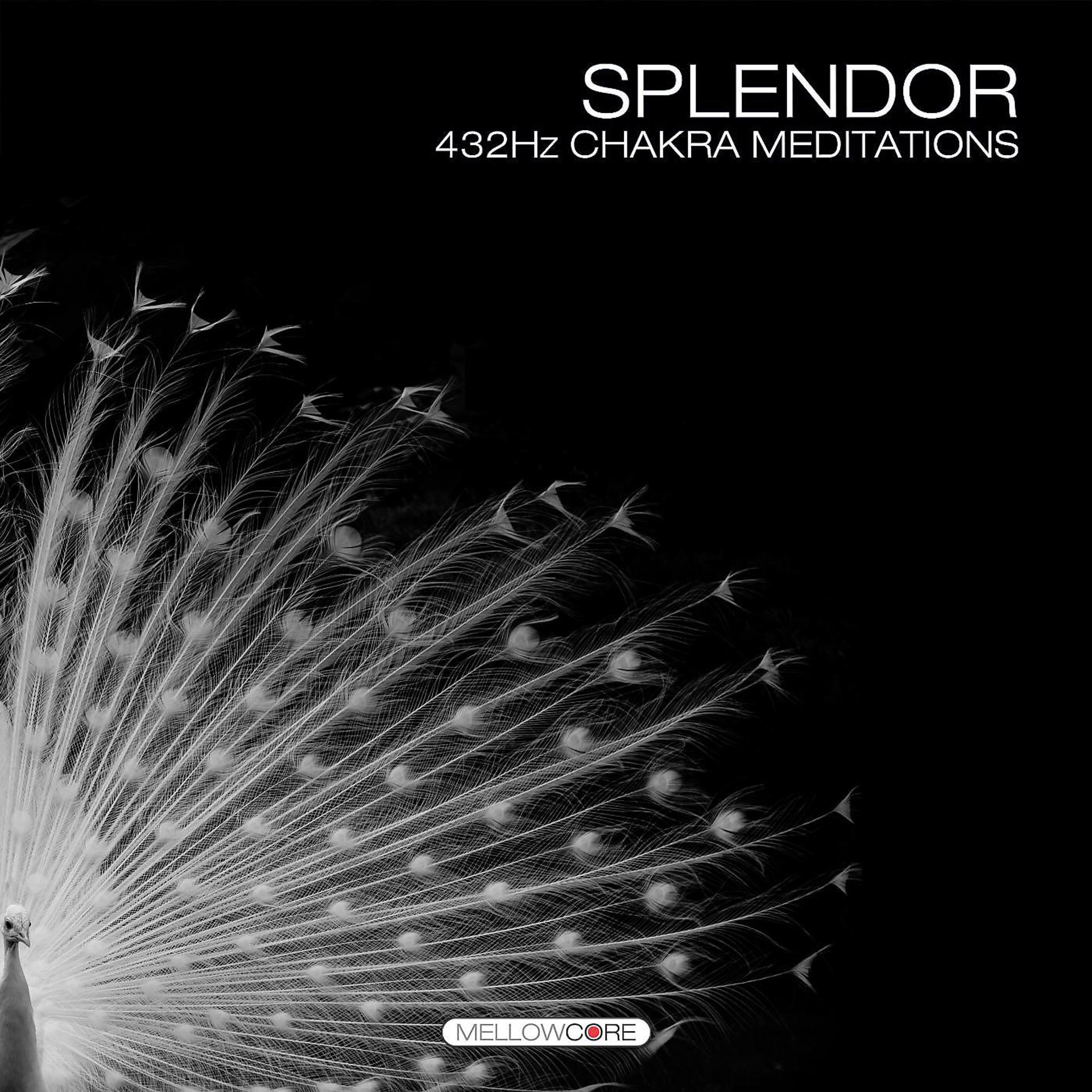 Постер альбома Splendor (432hz Chakra Meditations)
