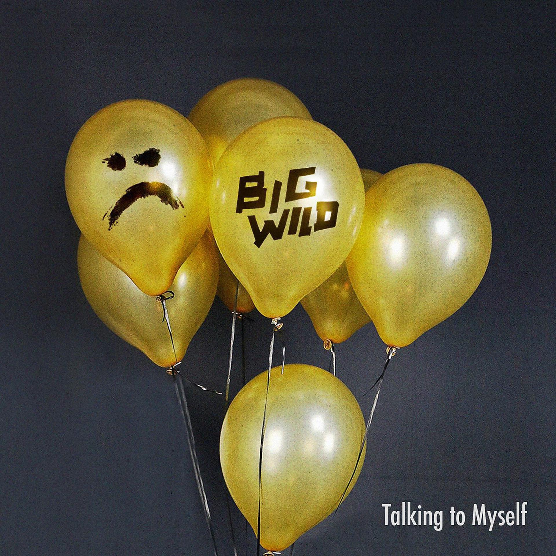 Постер альбома Talking to Myself (Big Wild Remix)