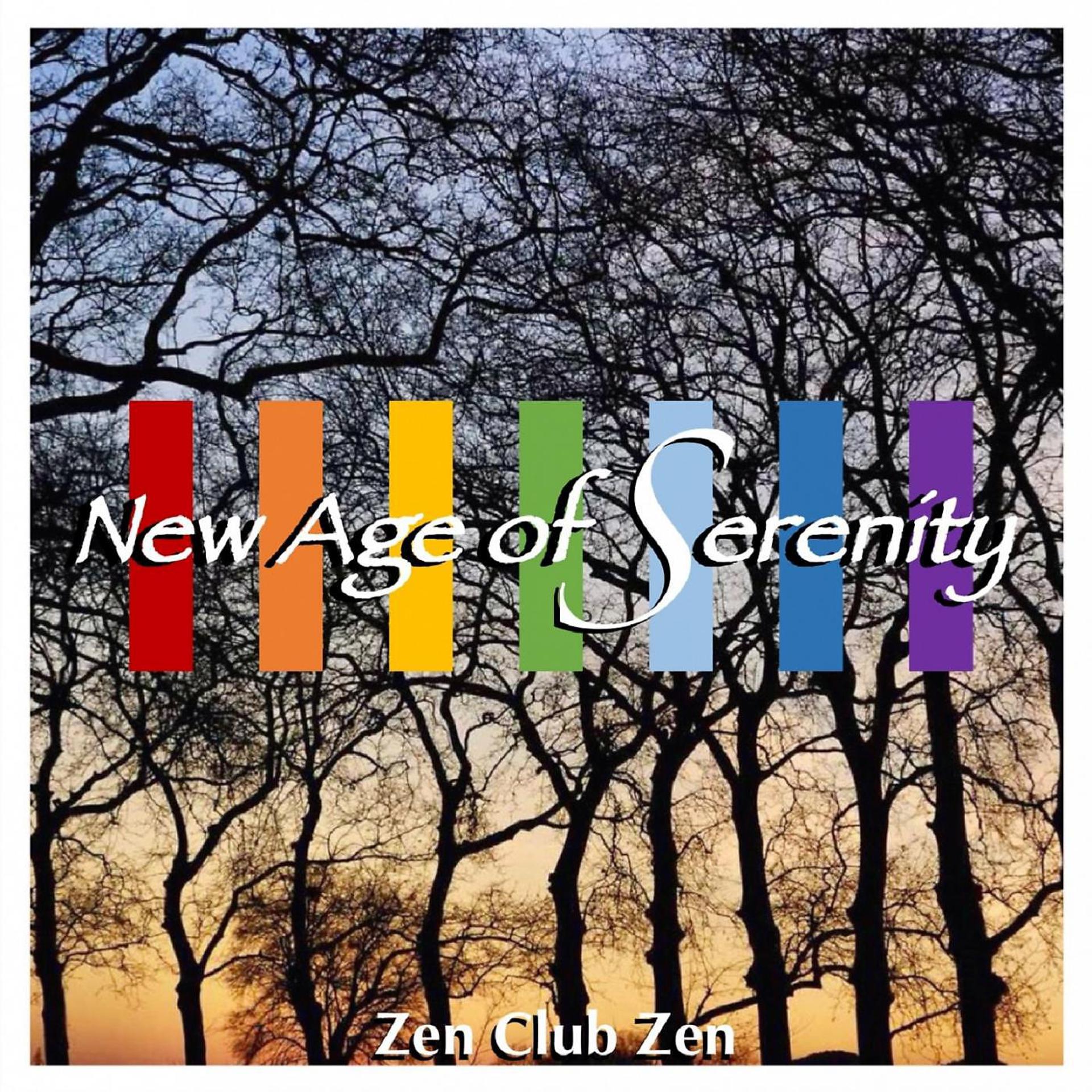 Постер альбома New Age of Serenity