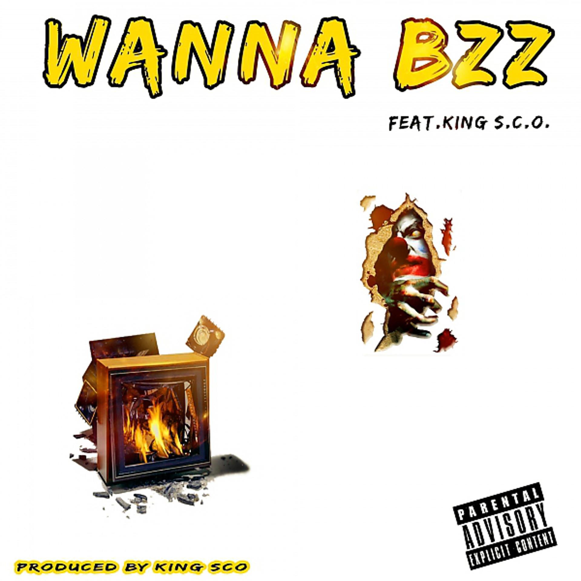 Постер альбома Wanna Bzz