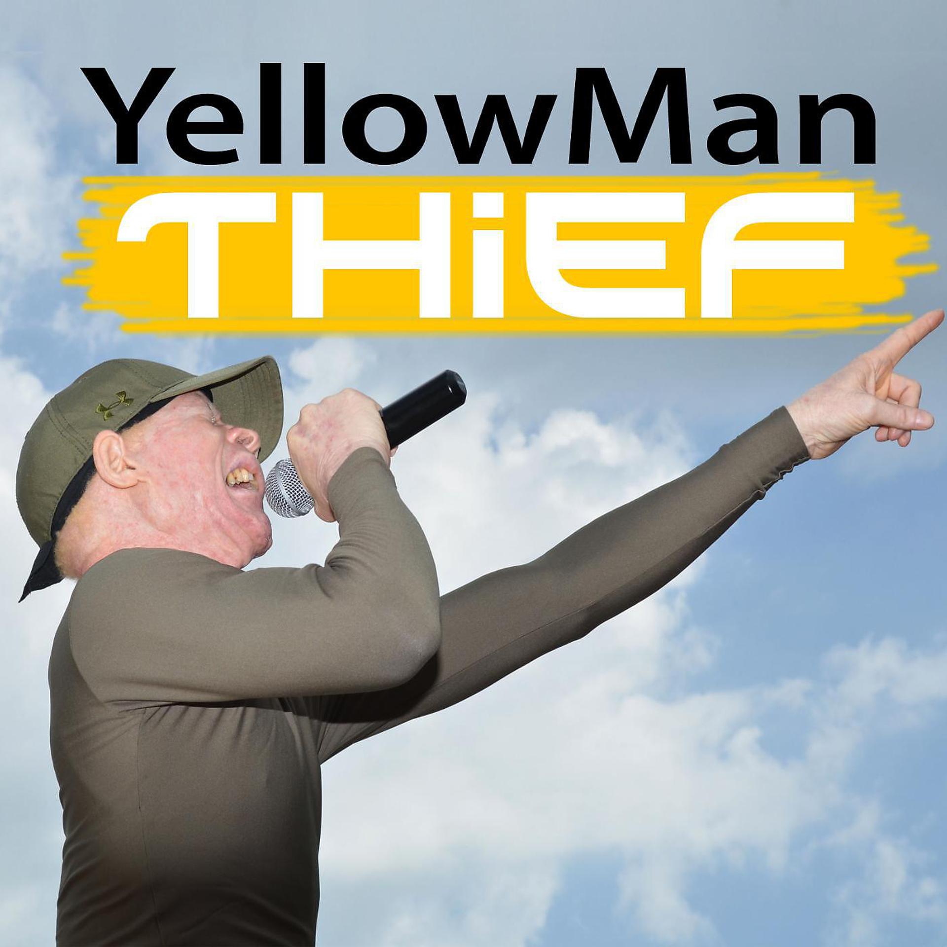 Постер альбома Thief