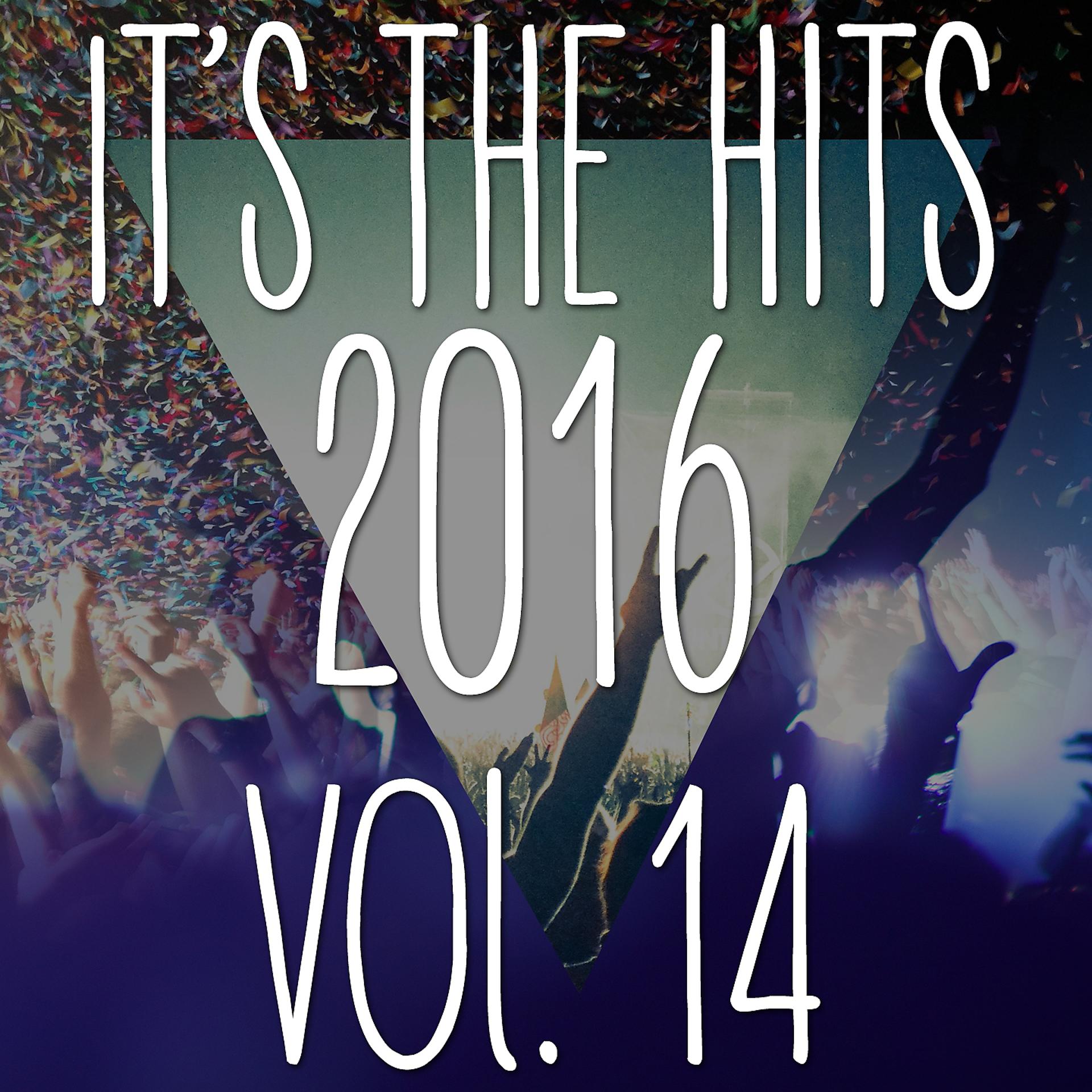 Постер альбома It's the Hits! 2016, Vol.14