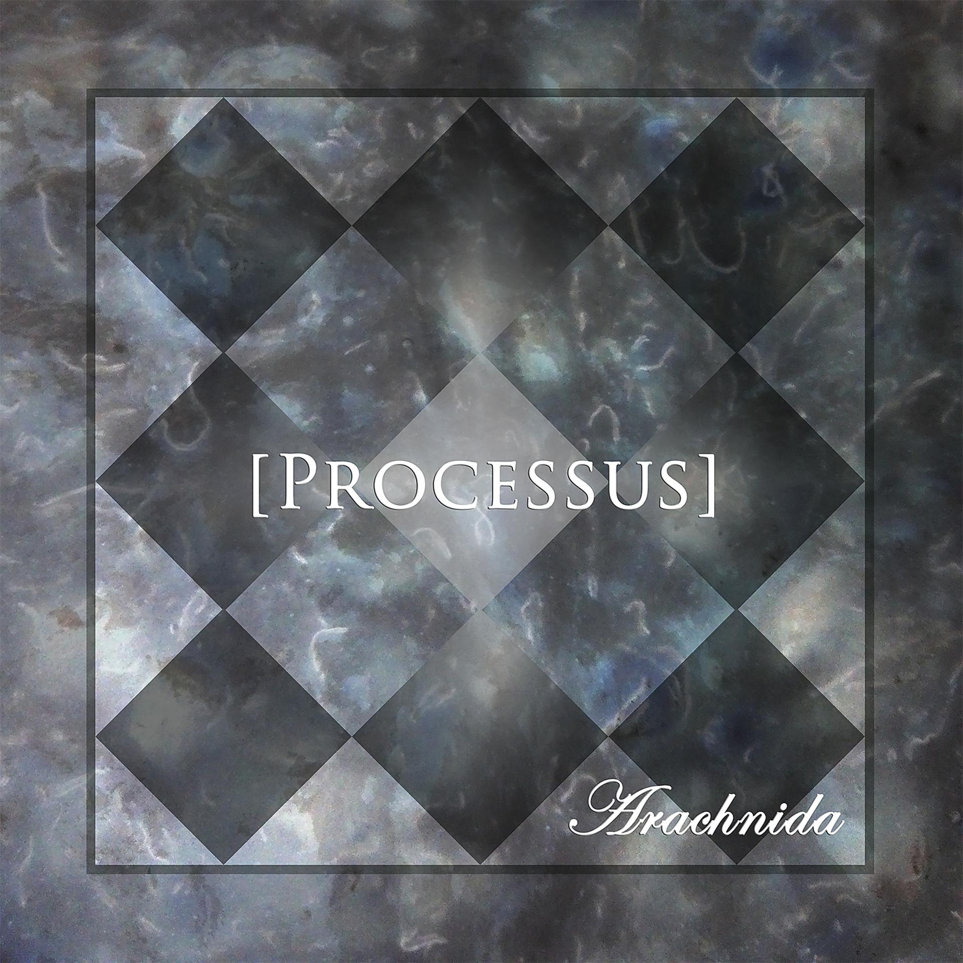 Постер альбома Processus