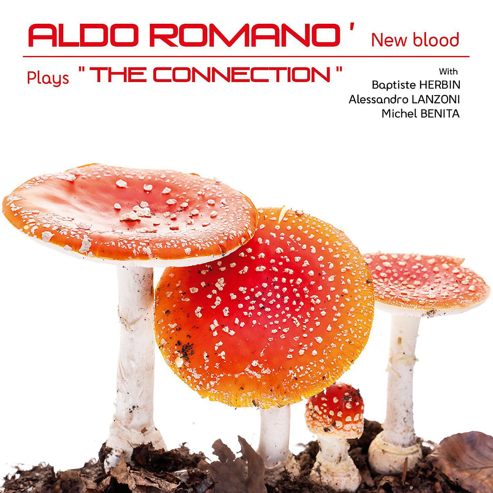 Постер альбома New Blood (feat. Baptiste Herbin, Alessandro Lanzoni & Michel Benita)