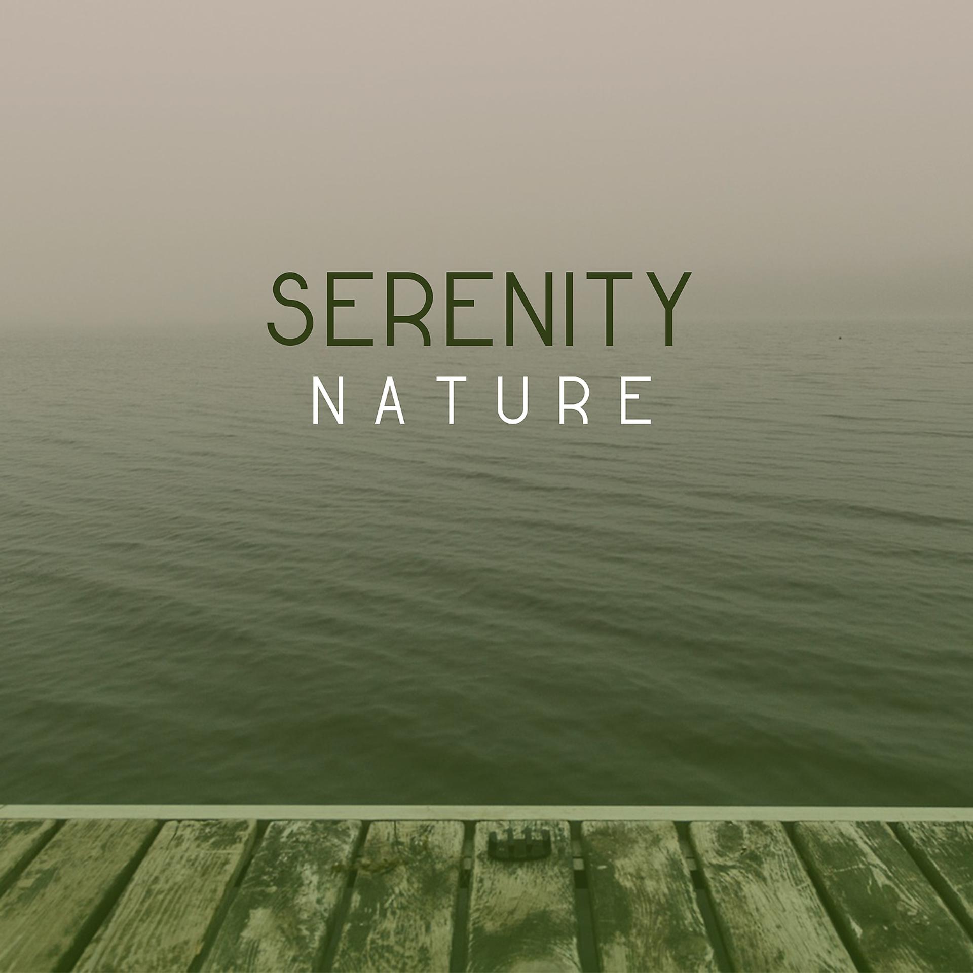 Постер альбома Serenity Nature – Ambient Nature Sounds, New Age Relax, Relaxing Natural World, Natural Relax