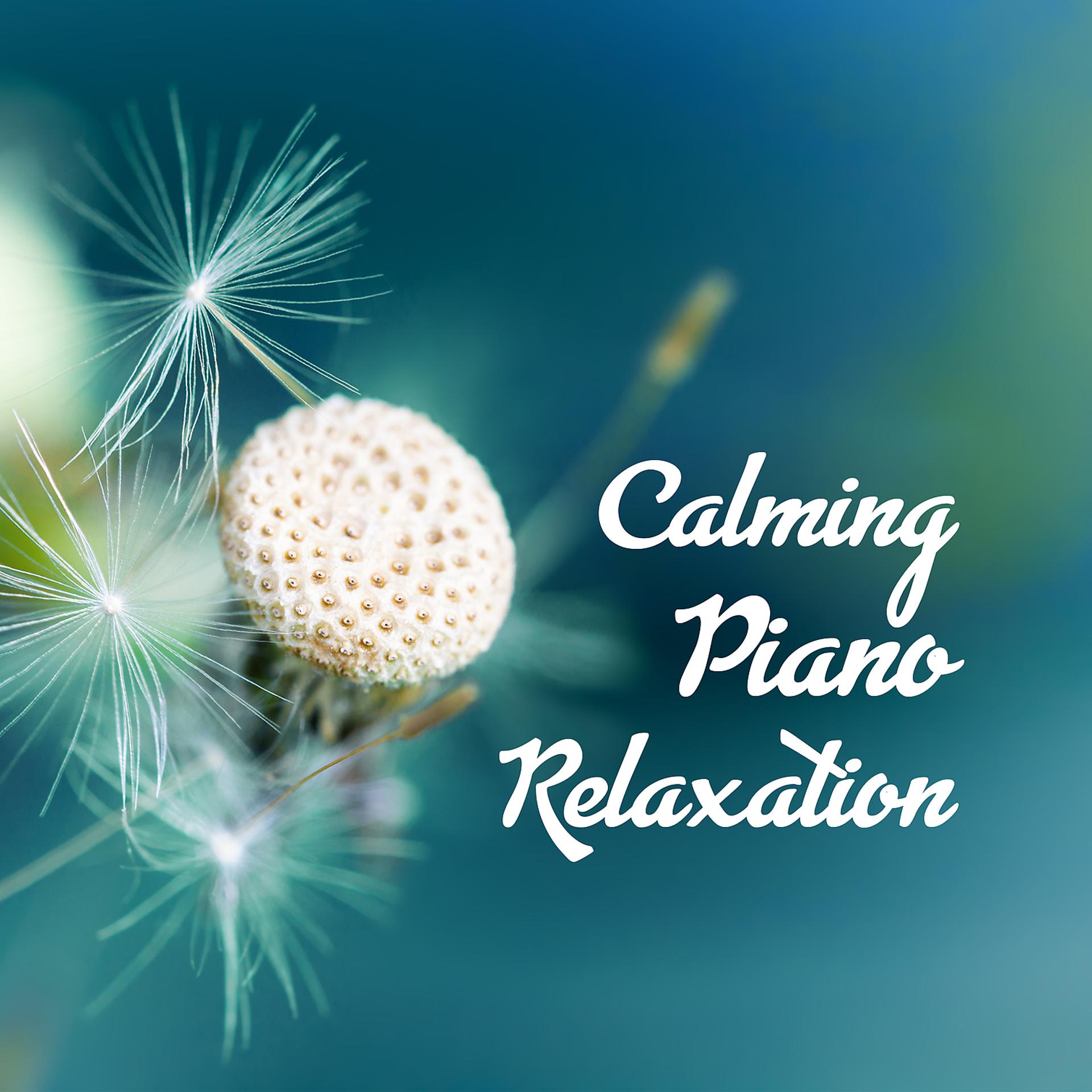 Постер альбома Calming Piano Relaxation: Meditation Collection, Healing Sound for Your Soul, Mind & Body, Yoga & Sleep