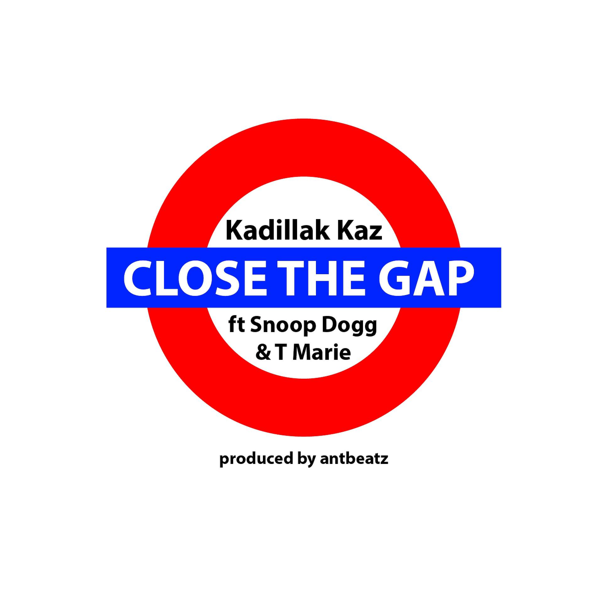 Постер альбома Close the Gap (feat. Snoop Dogg & T. Marie)