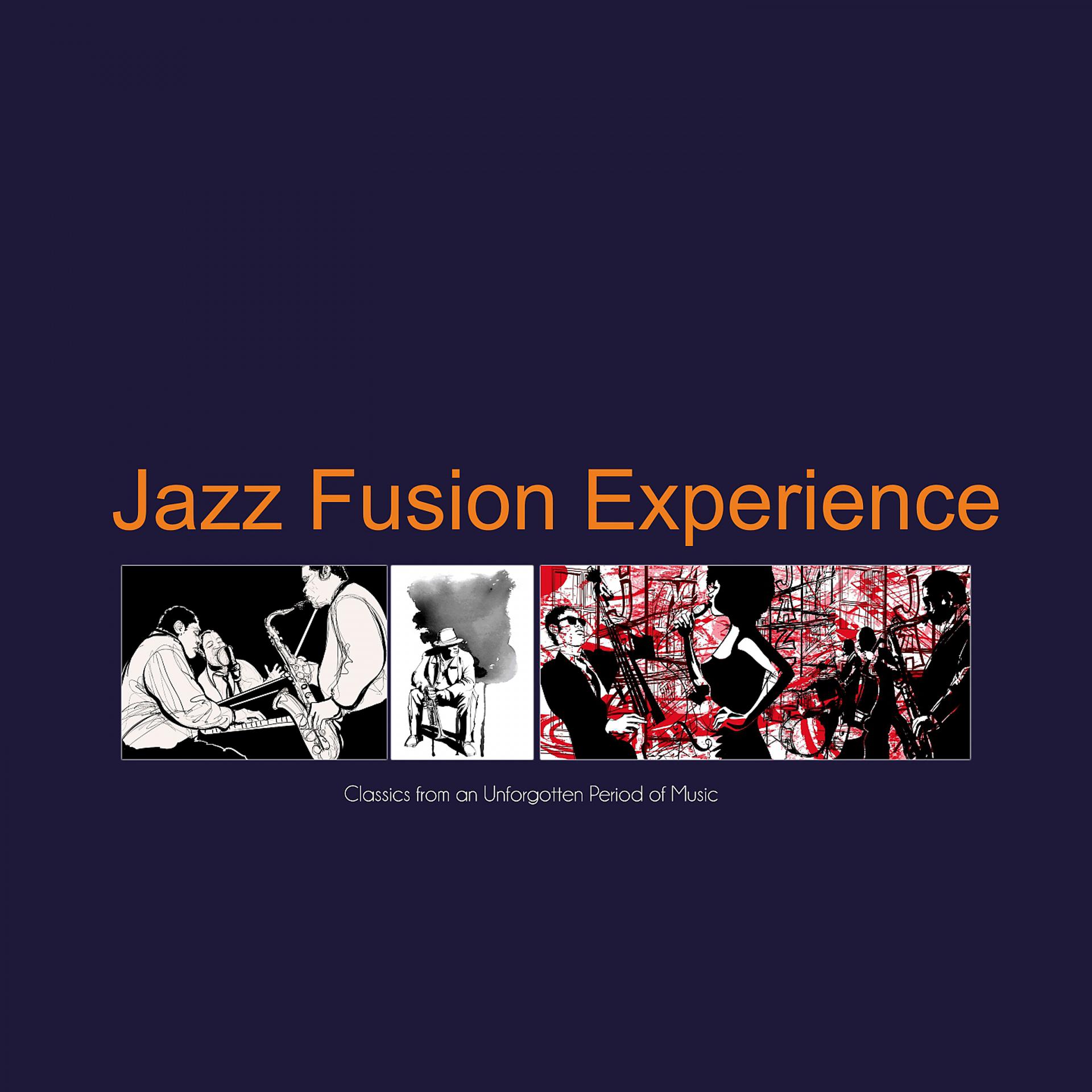 Постер альбома Jazz Fusion Experience