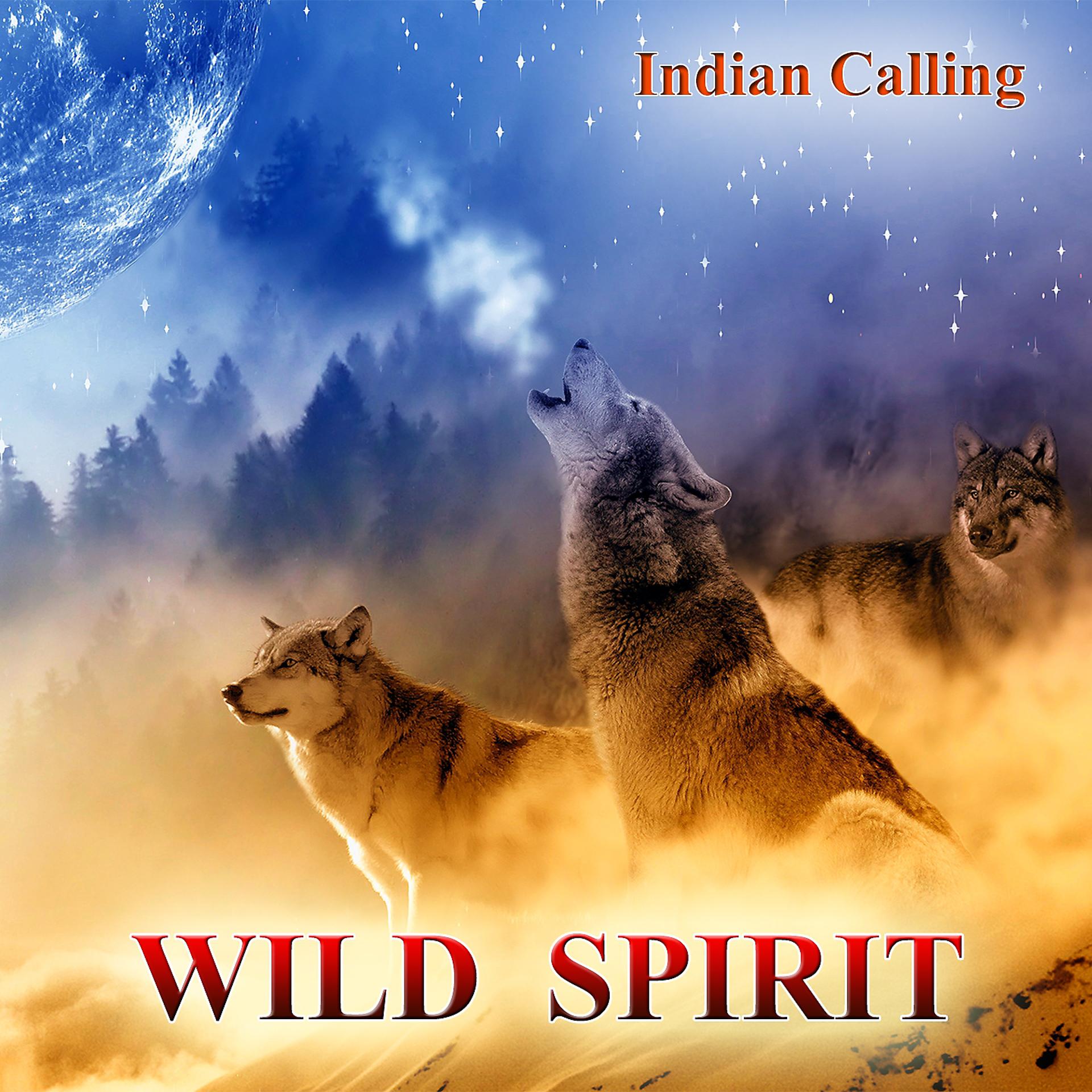 Постер альбома Wild Spirit
