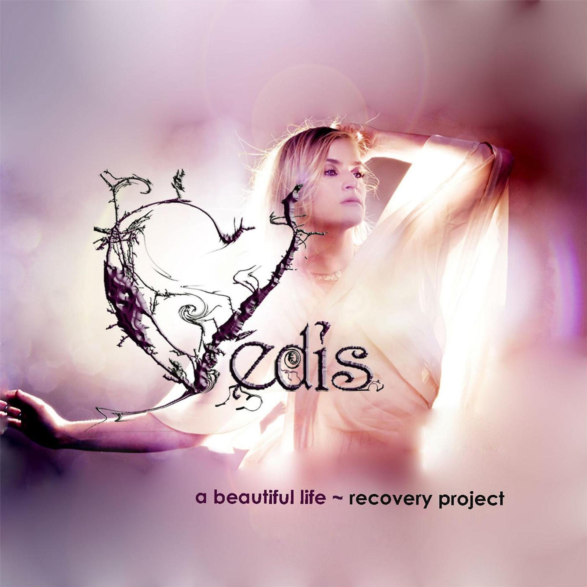 Постер альбома A Beautiful Life - Recovery Project