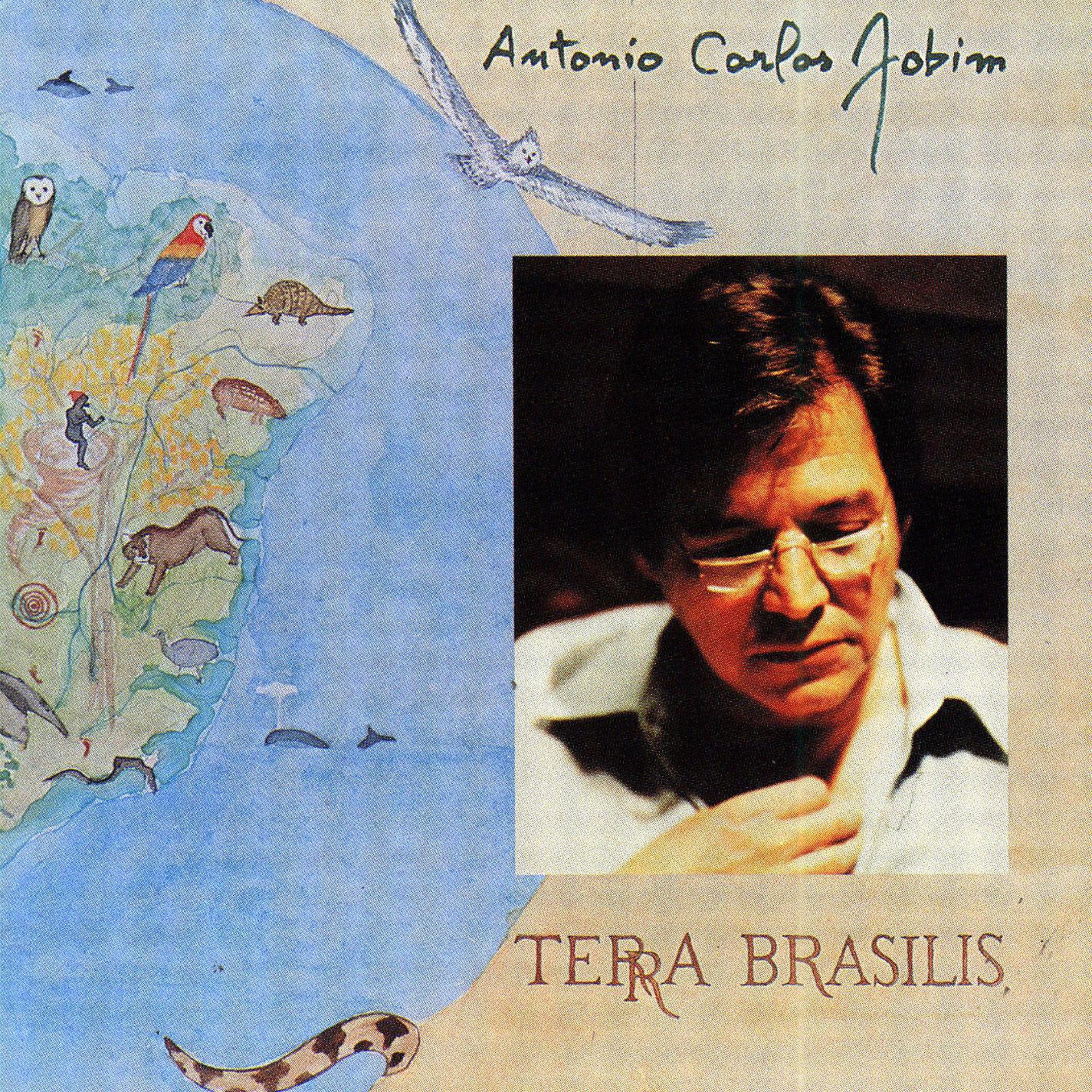 Постер альбома Terra Brasilis