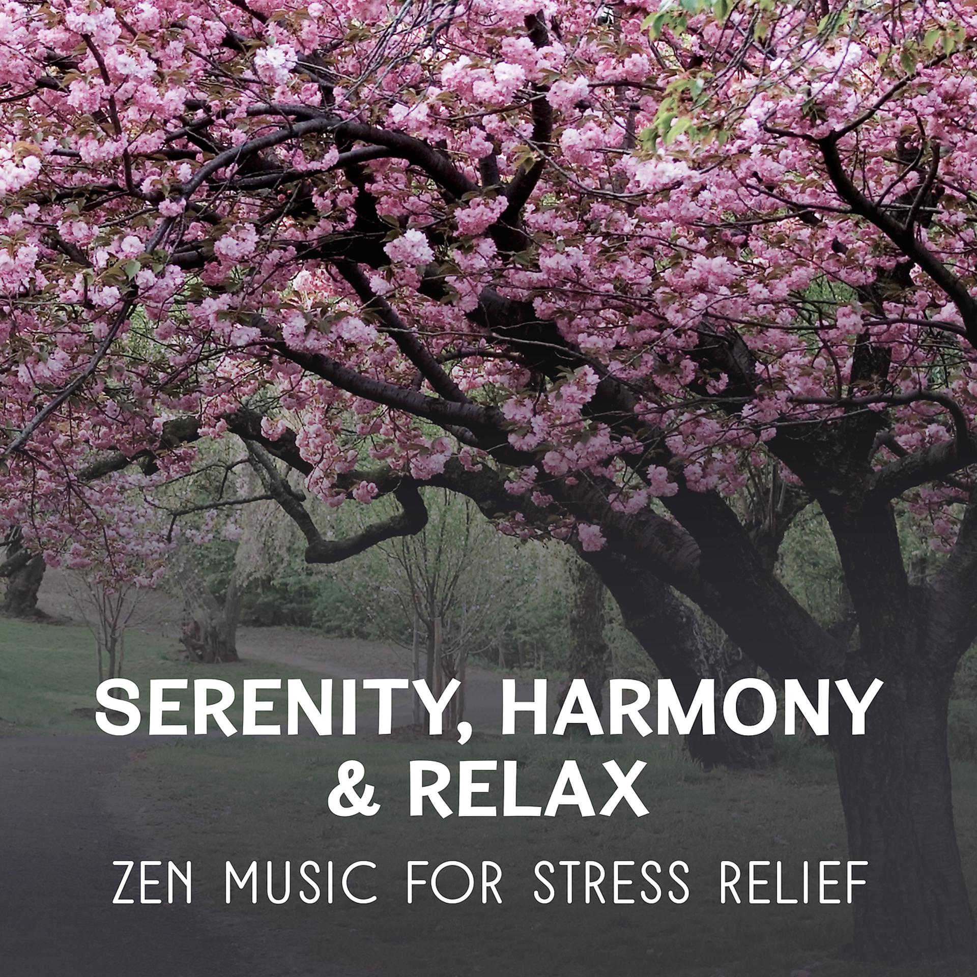 Постер альбома Serenity, Harmony & Relax – Zen Music for Stress Relief, Feel Better, Deep Meditation, Healing Sounds Therapy, Oasis of Peace