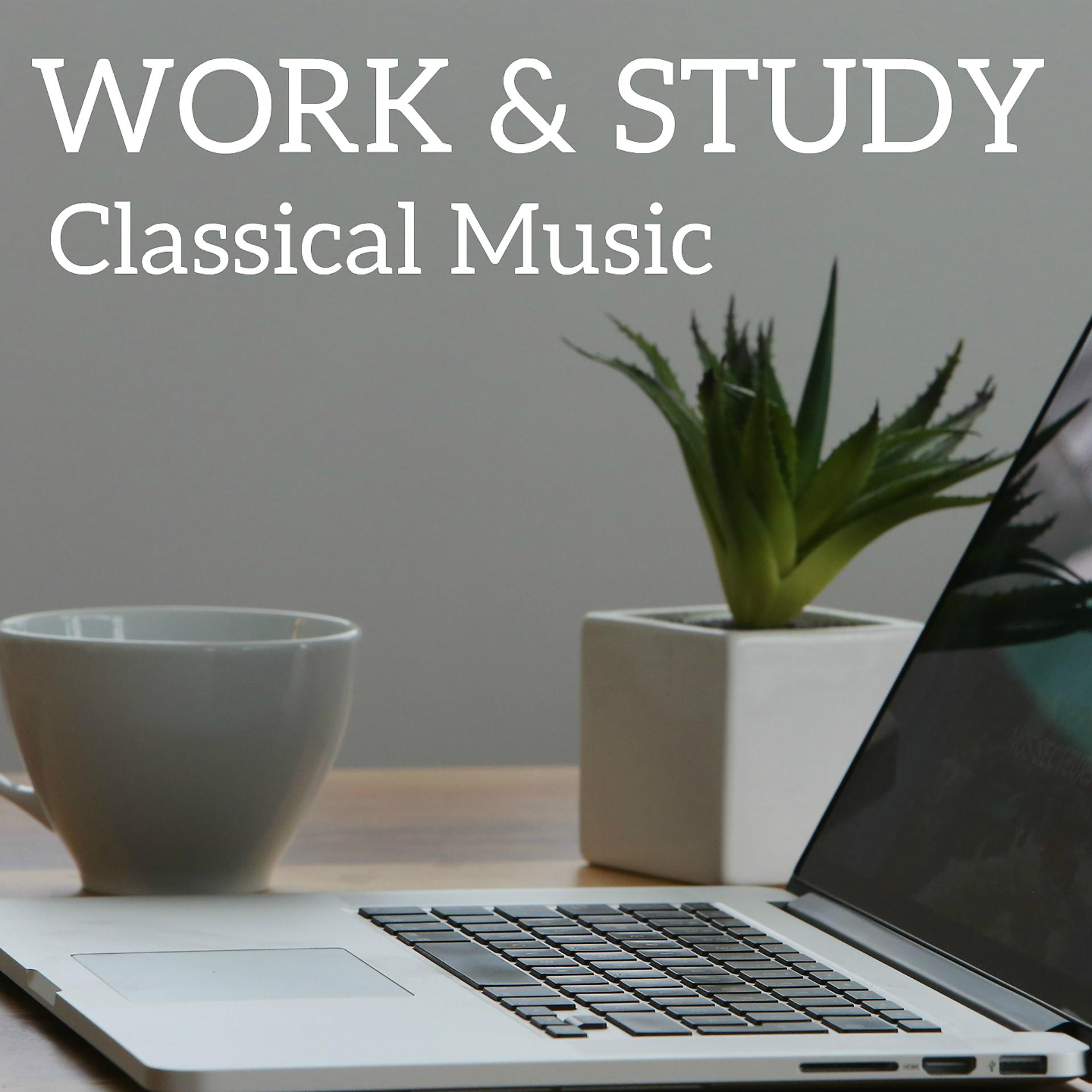 Постер альбома Work & Study Classical Music