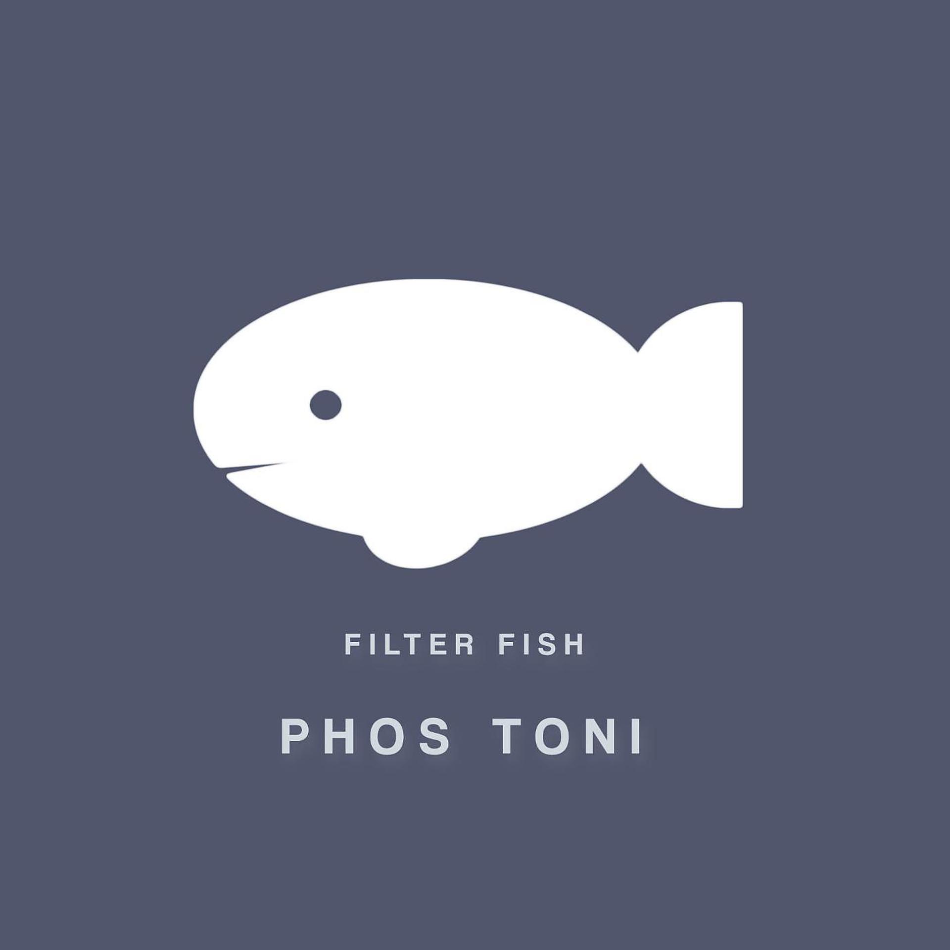 Постер альбома Filter Fish (Radio Edit)