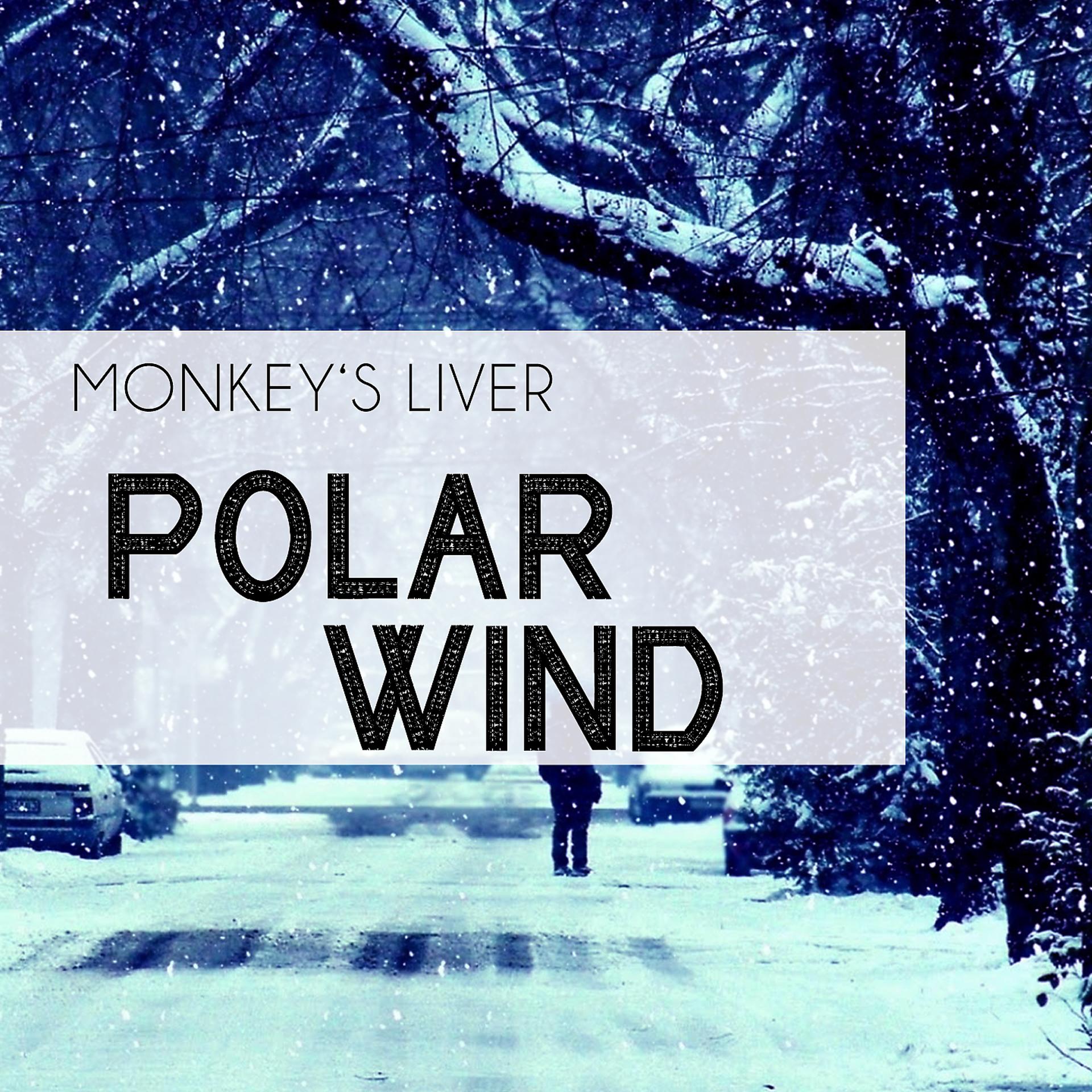 Постер альбома Polar Wind