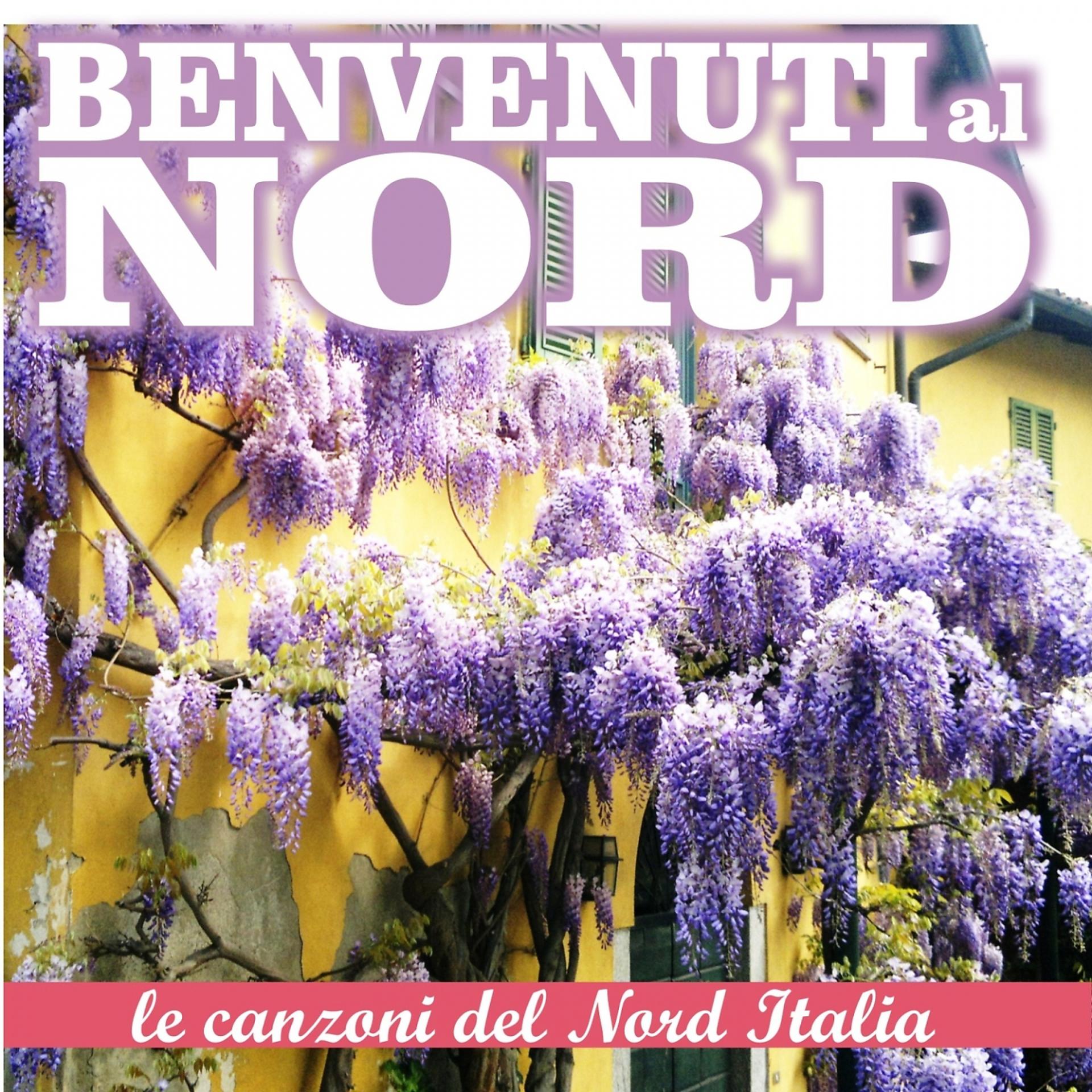 Постер альбома Benvenuti al nord