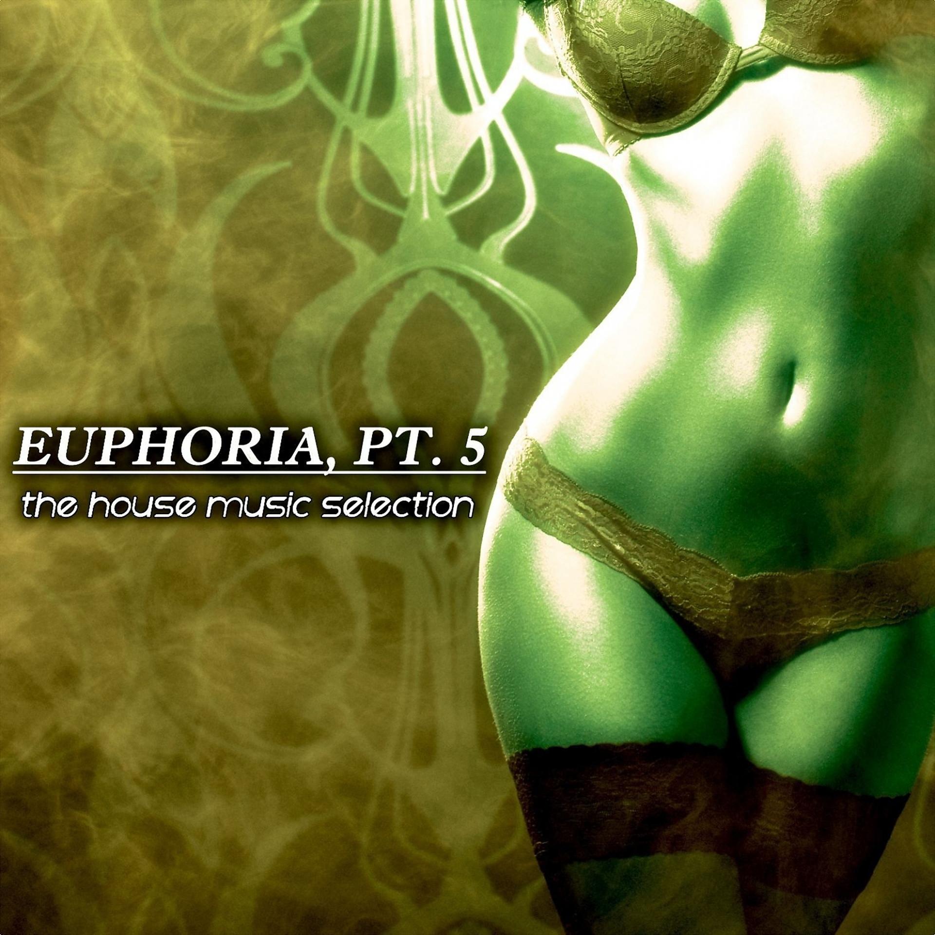 Постер альбома Euphoria, Pt. 5 - The House Music Selection