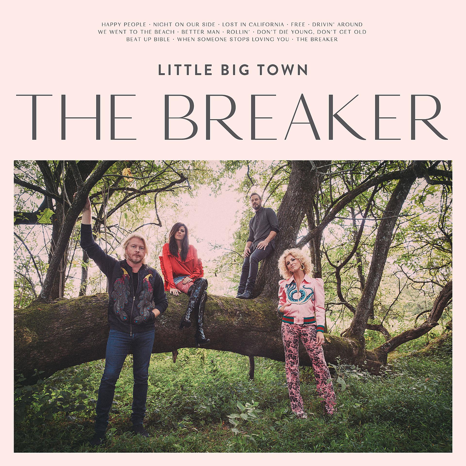 Постер альбома The Breaker
