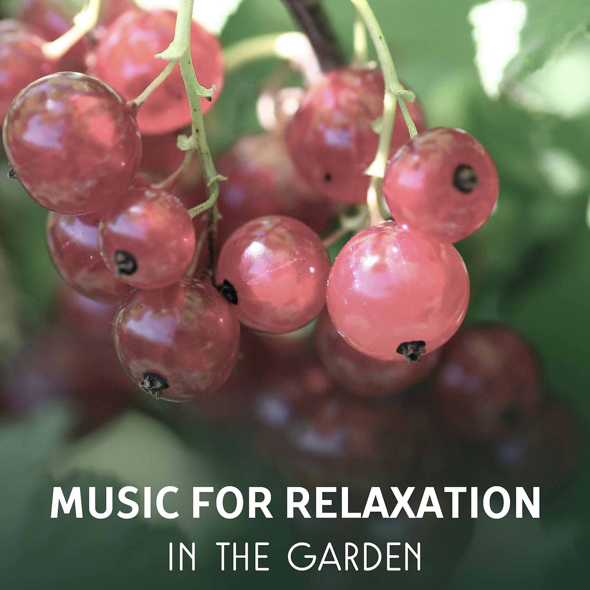 Постер альбома Music for Relaxation in the Garden – Blissful Rest & Renewal, Healing Nature Sounds for Mind Regeneration, Deep Meditation, Positive Attitude