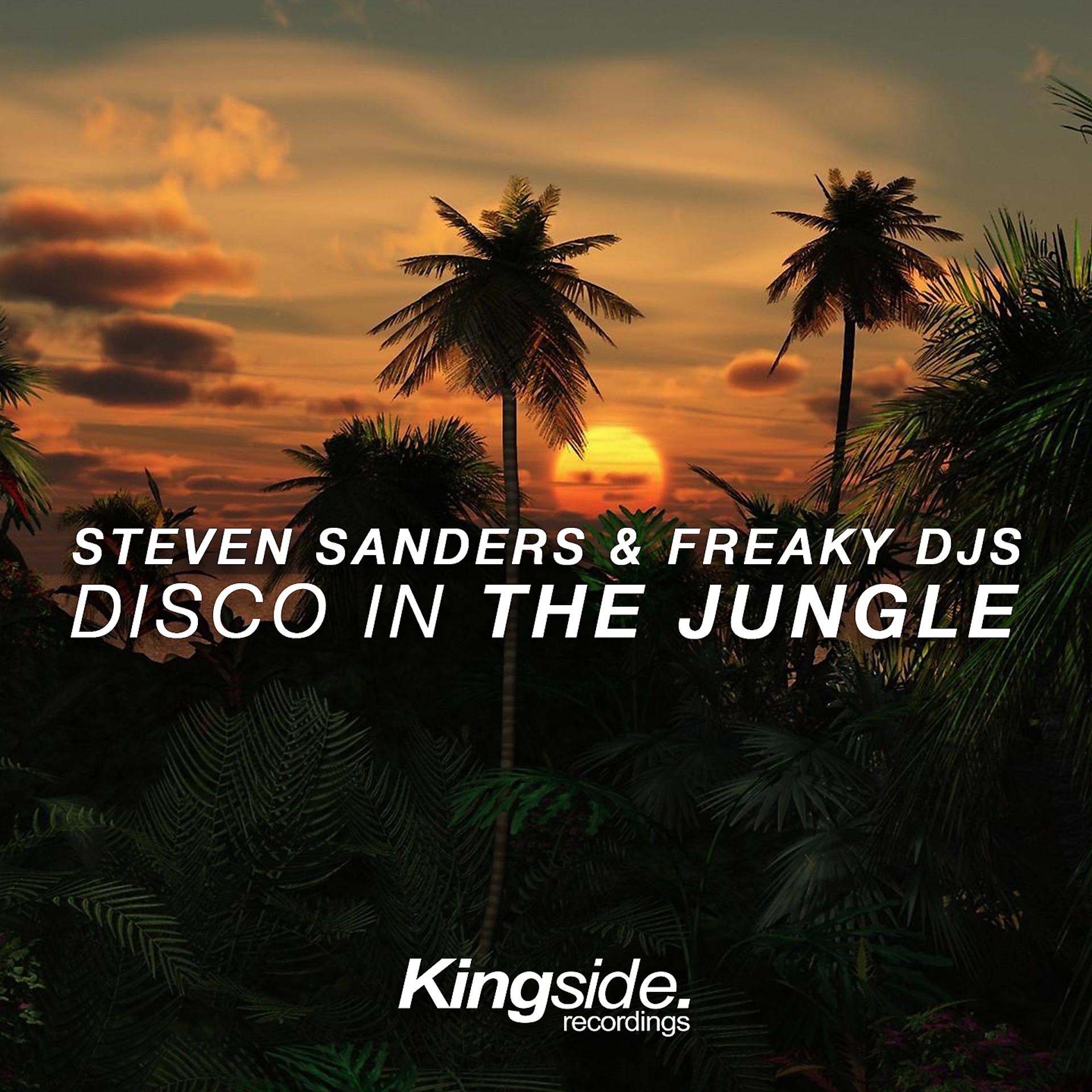 Постер альбома Disco in the Jungle