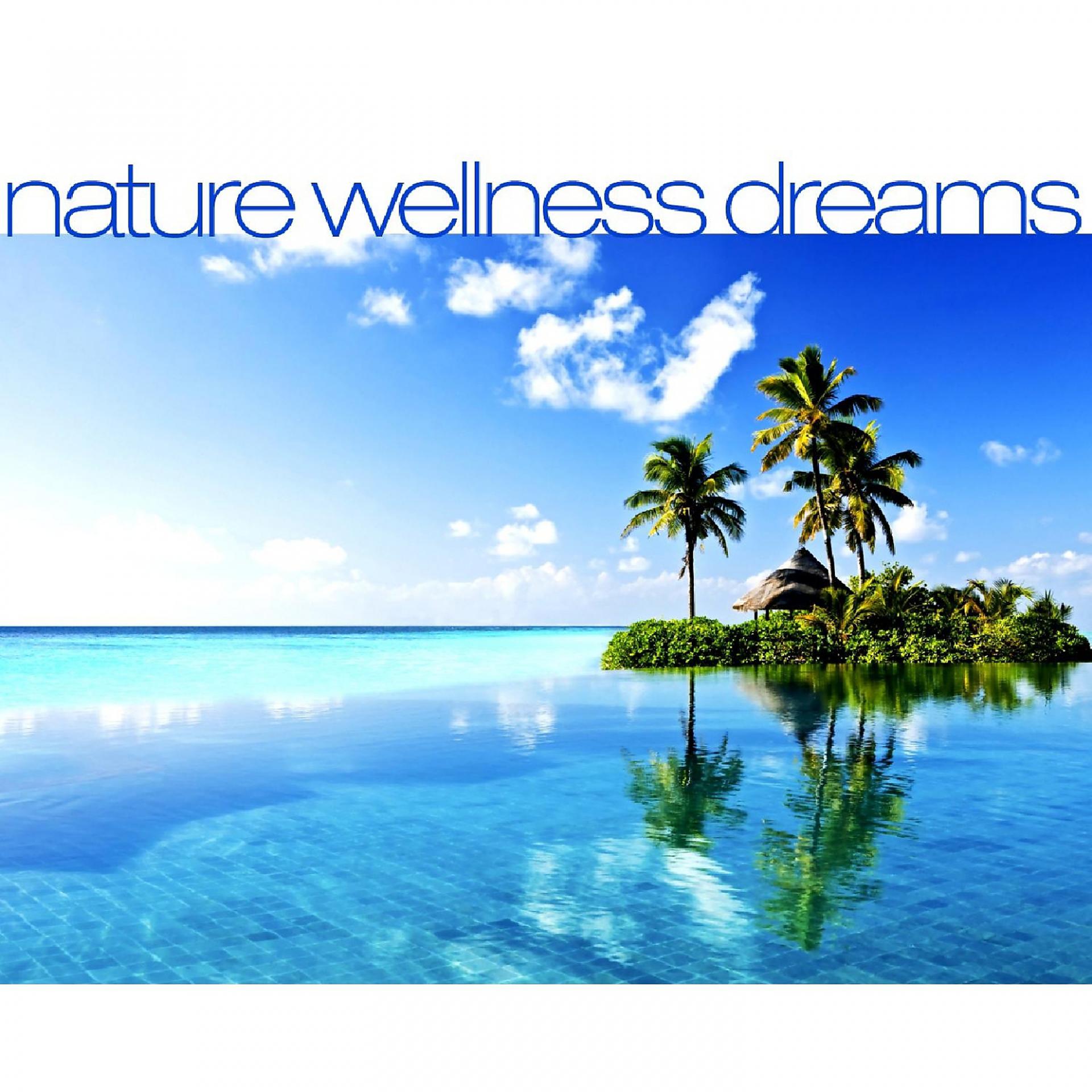 Постер альбома Nature Wellness Dreams