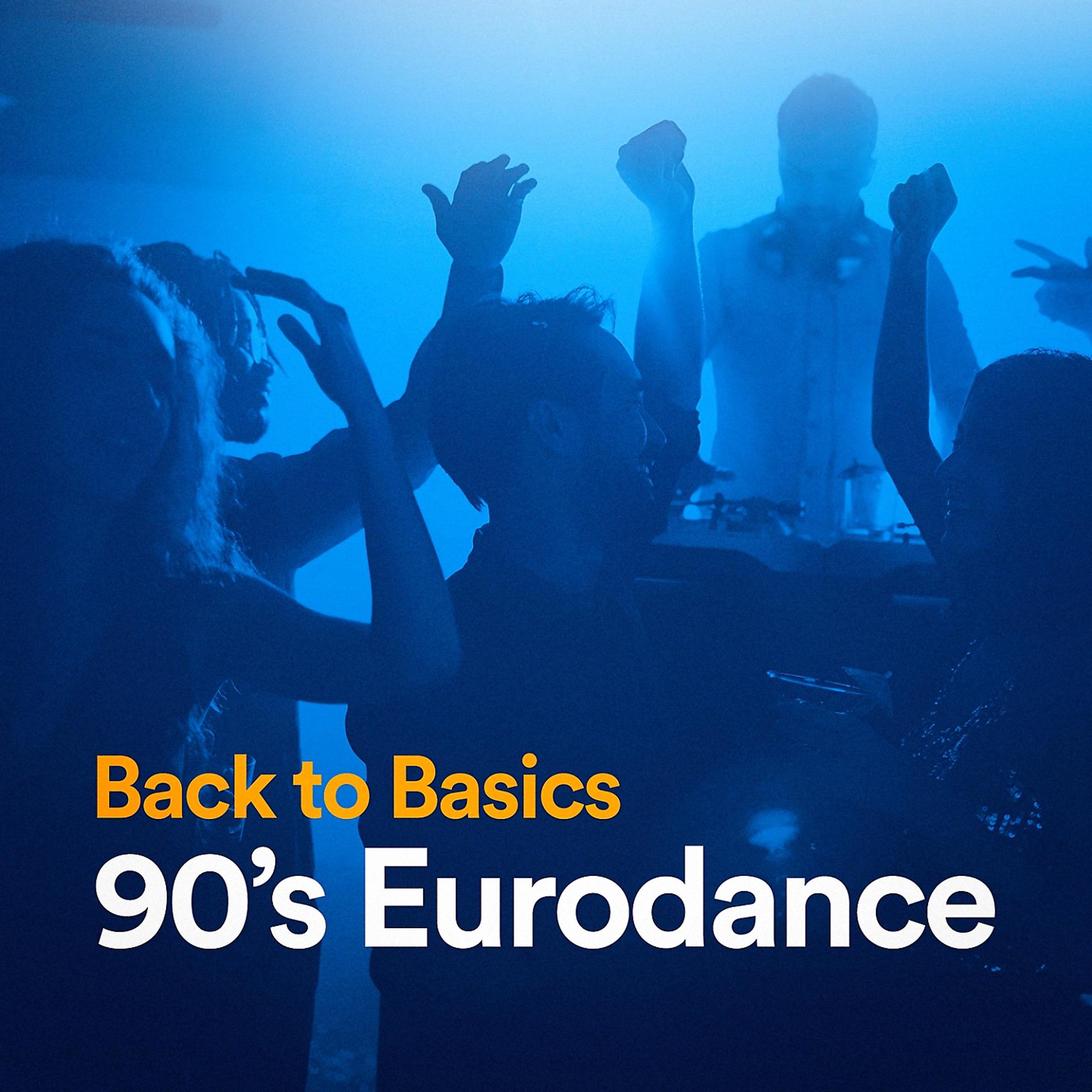 Постер альбома Back to Basics 90's Eurodance