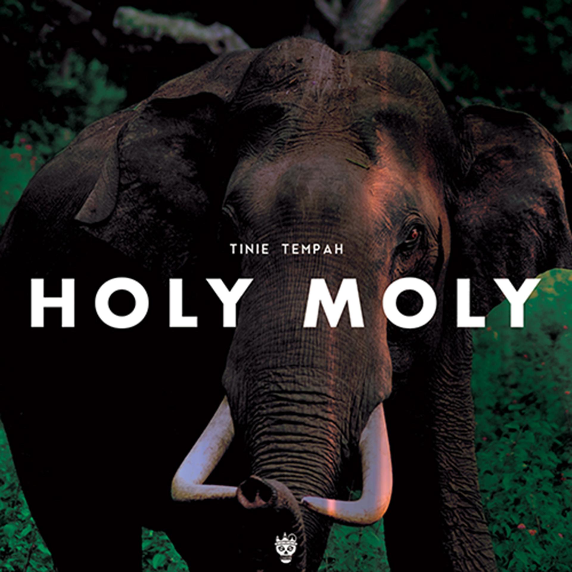 Постер альбома Holy Moly