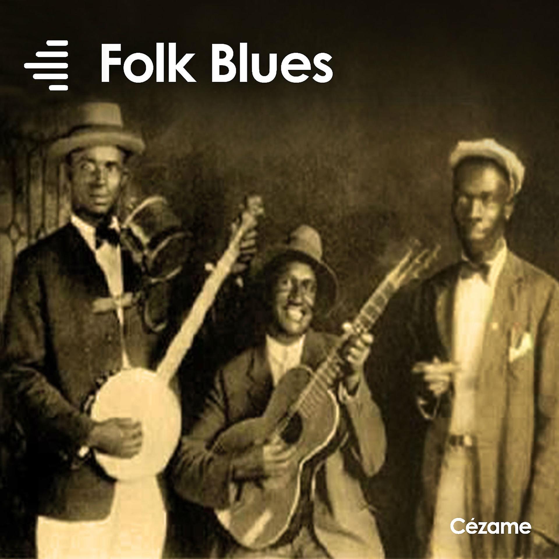 Постер альбома Folk Blues