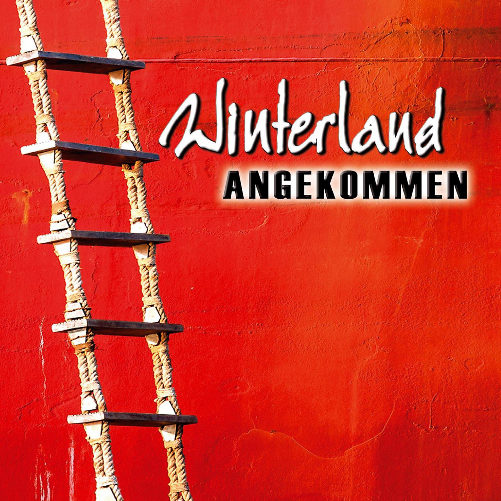 Постер альбома Angekommen