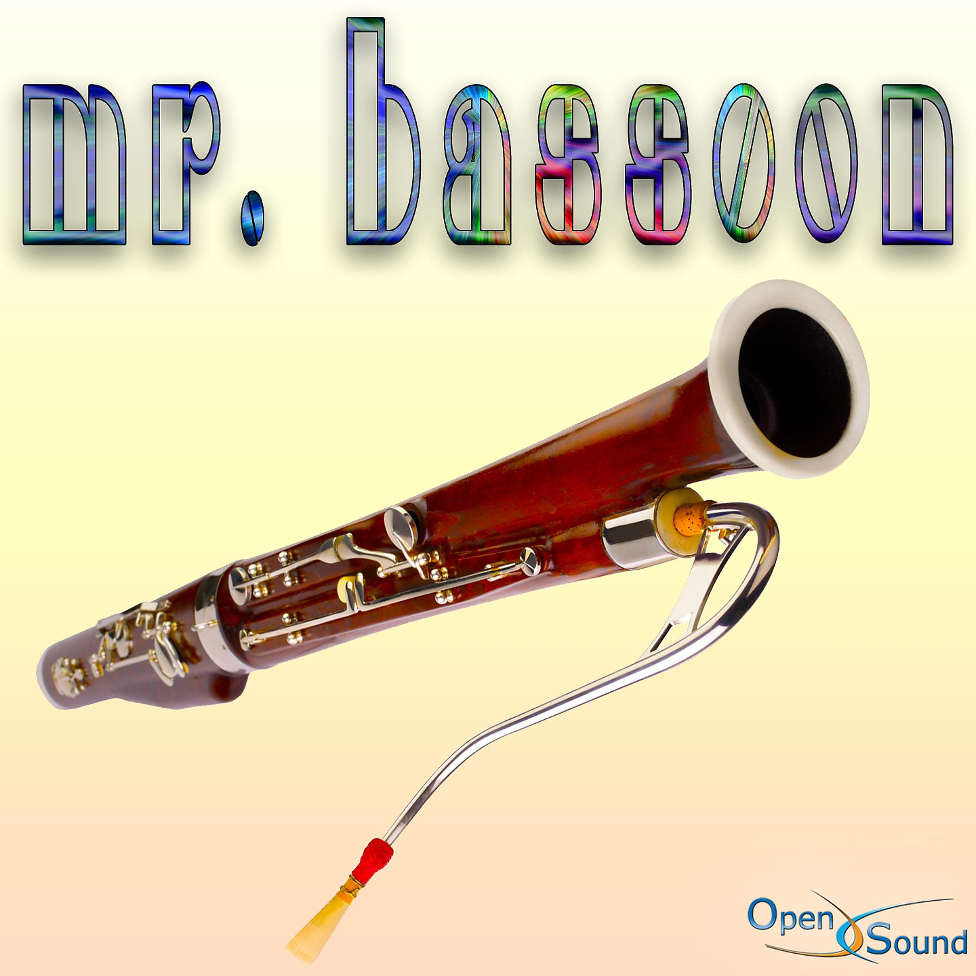 Постер альбома Mr. Bassoon
