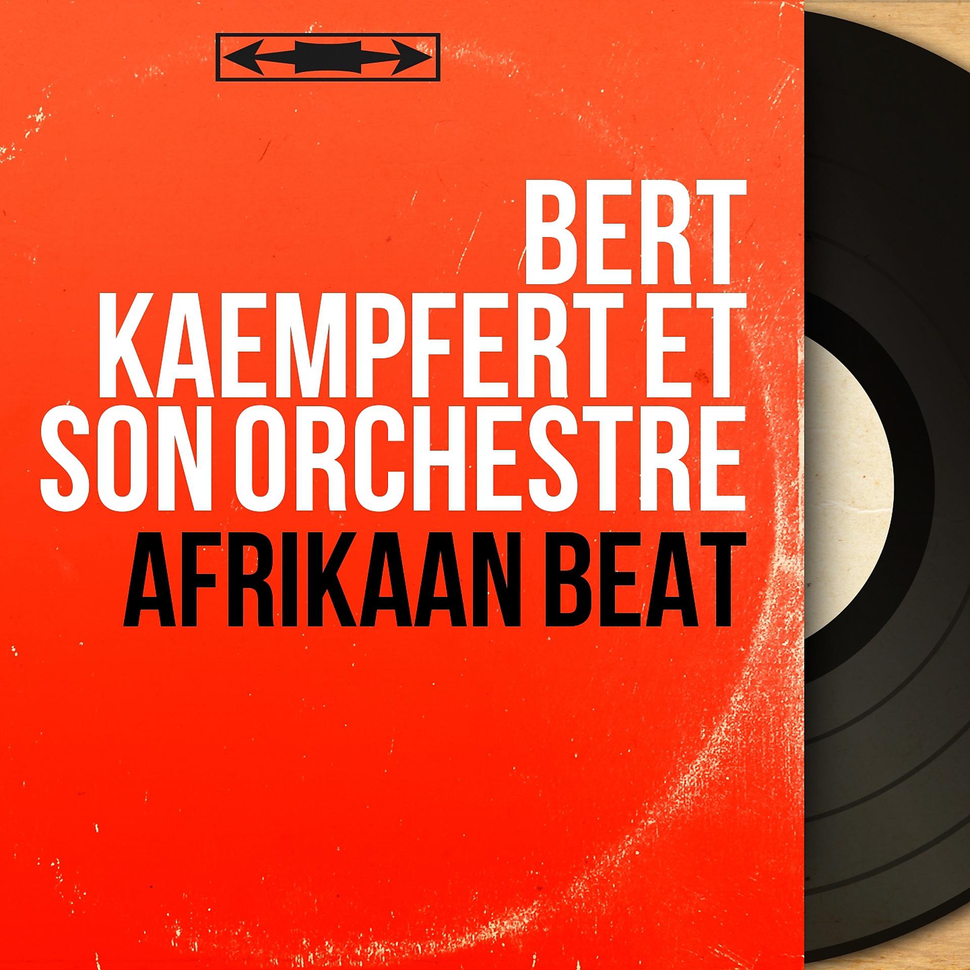 Постер альбома Afrikaan Beat
