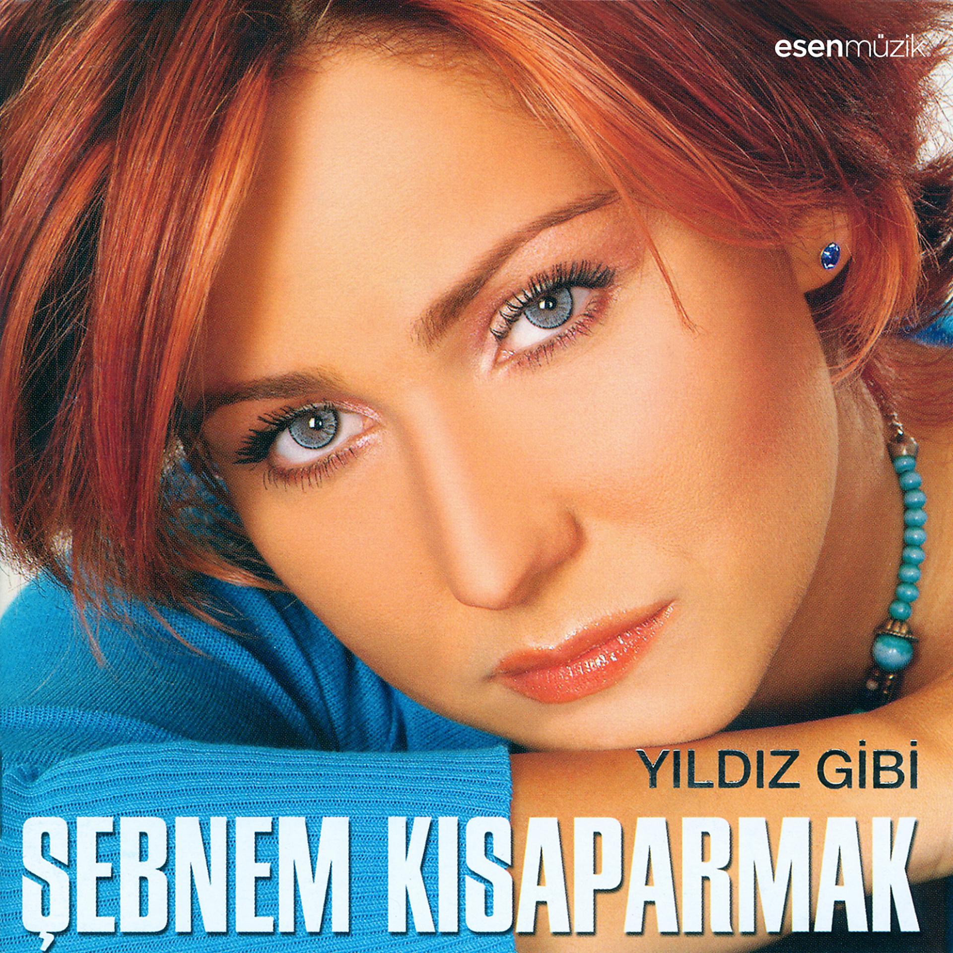 Постер альбома Yıldız Gibi