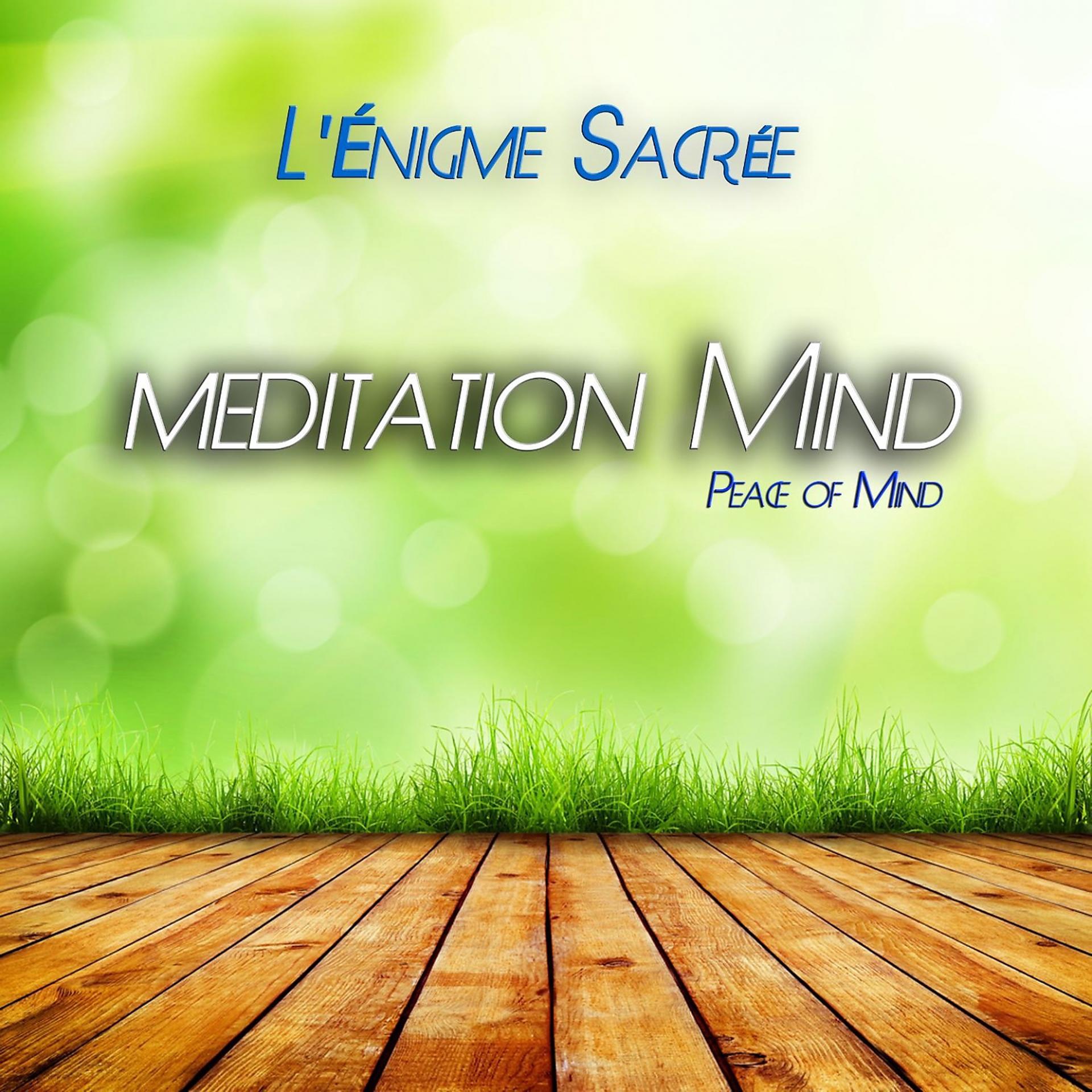 Постер альбома Meditation Mind - Peace of Mind