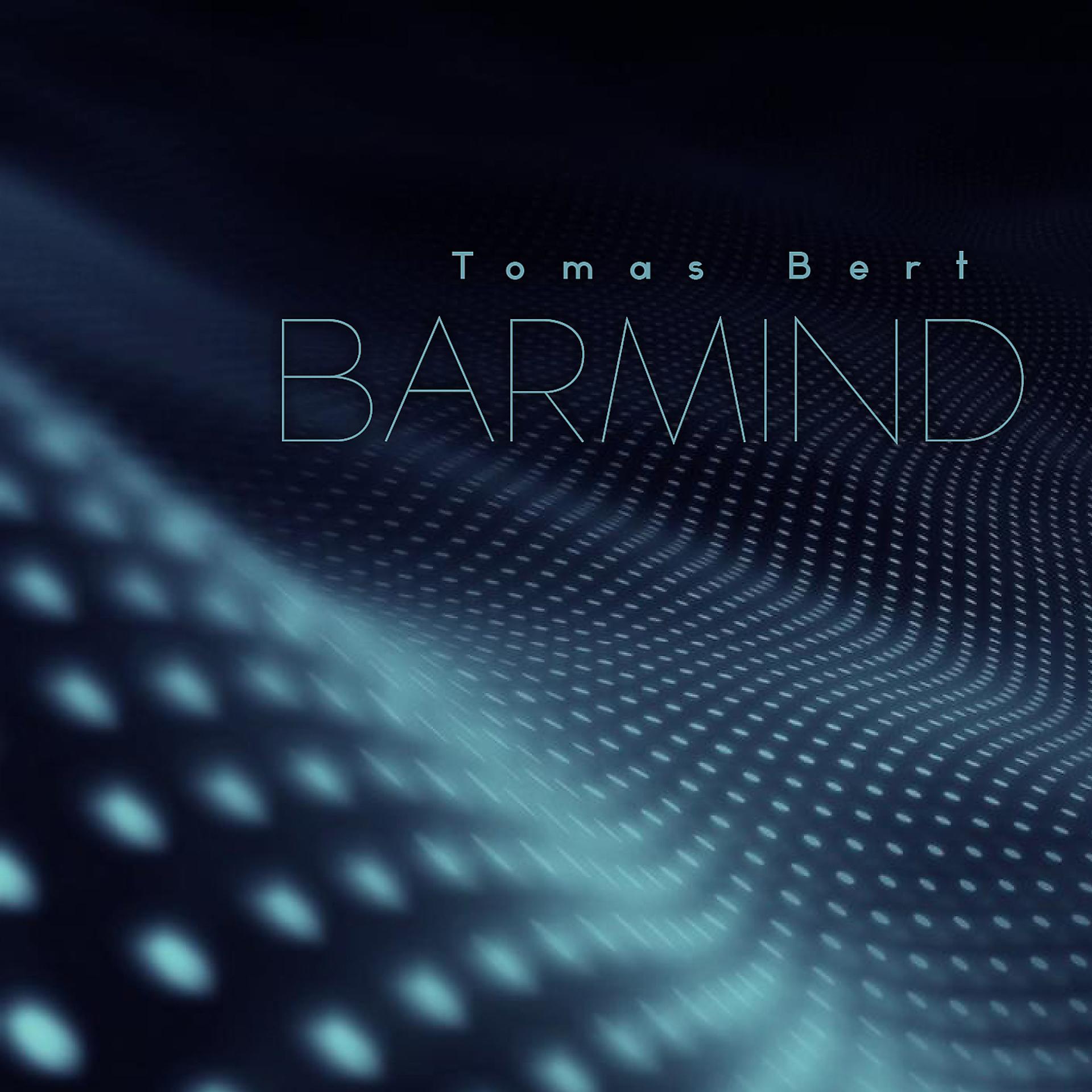Постер альбома Barmind