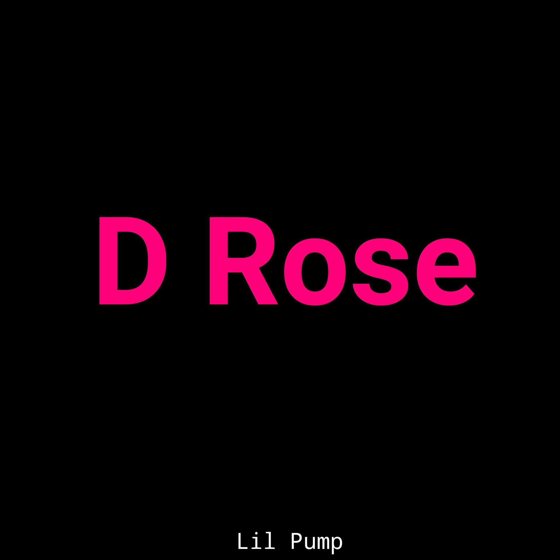 Постер альбома D Rose (Remix)