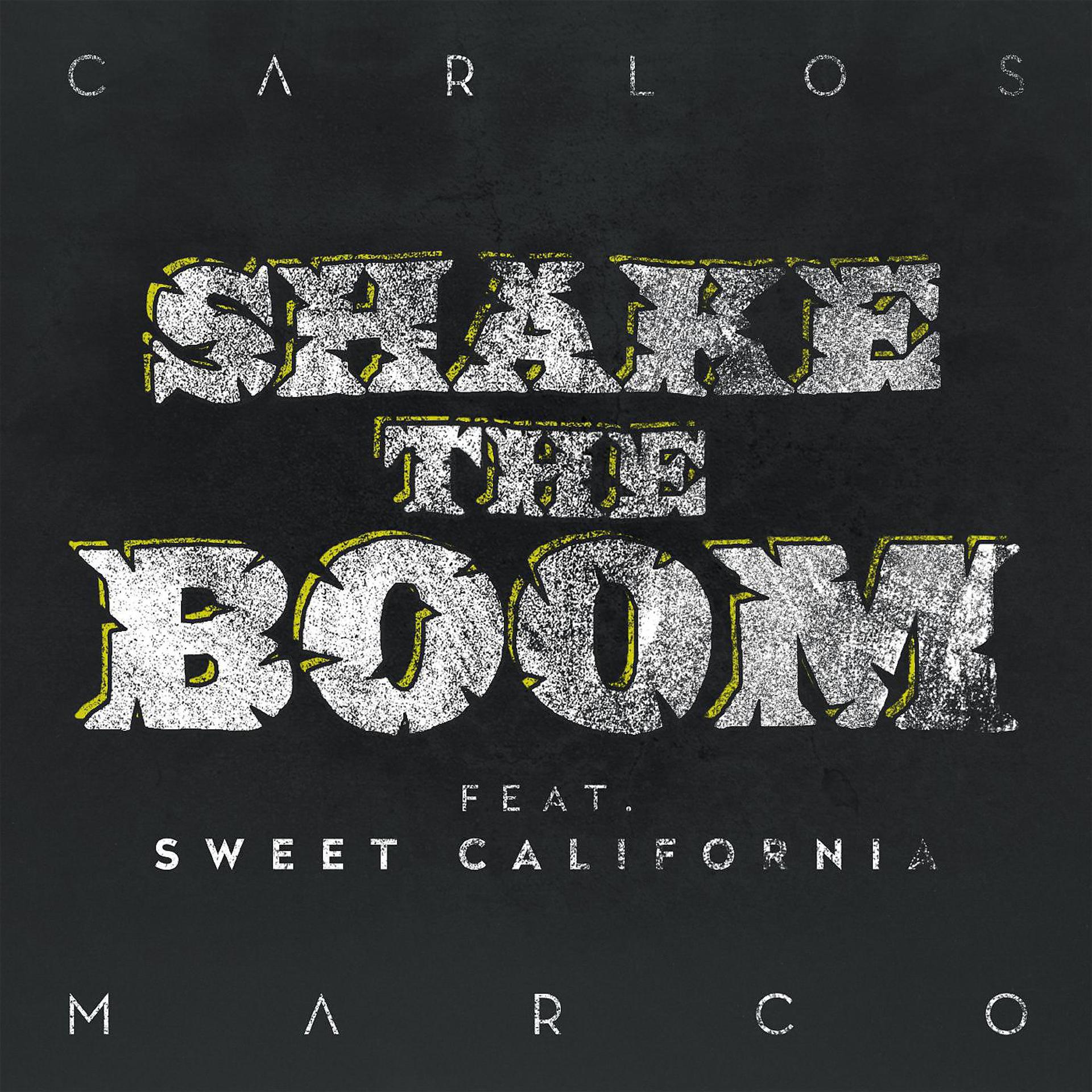 Постер альбома Shake the Boom (feat. Sweet California)