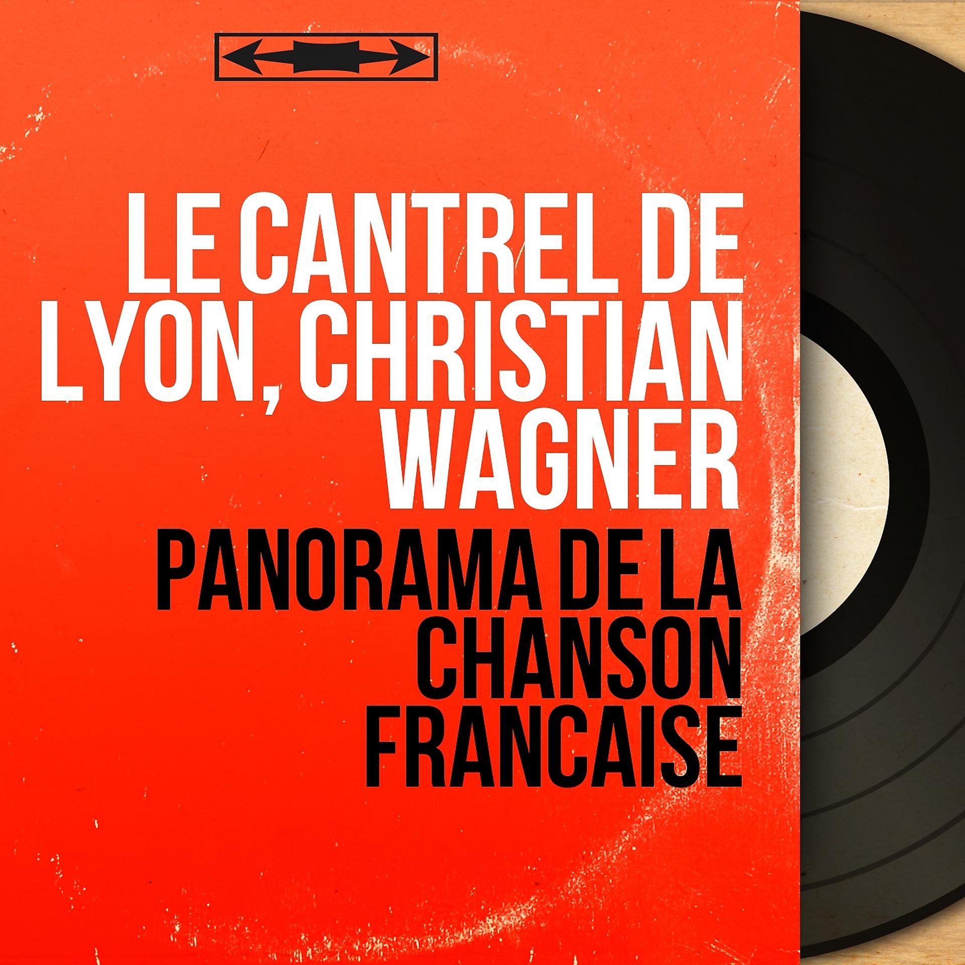 Постер альбома Panorama de la chanson française