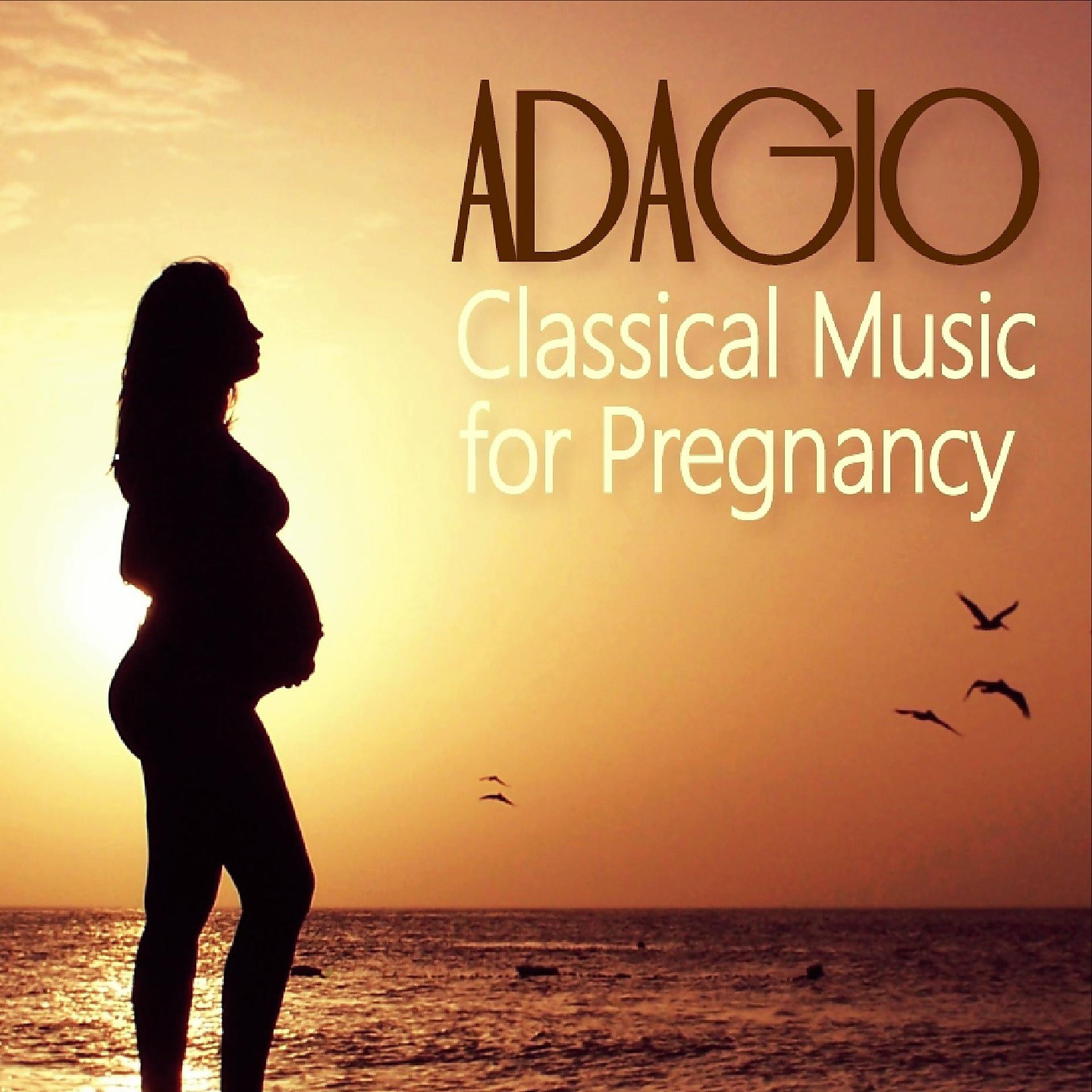 Постер альбома Adagio: Classical Music for Pregnancy