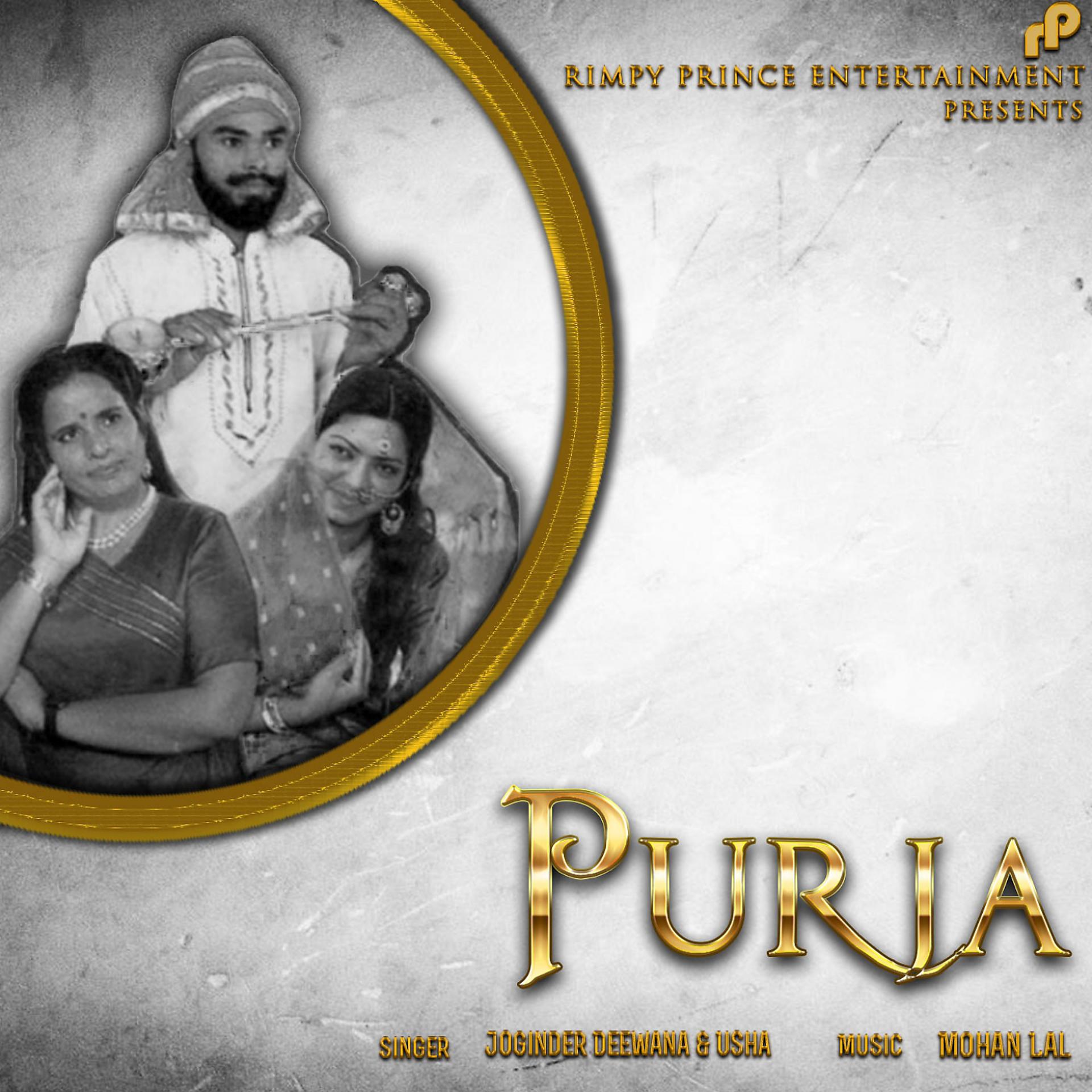Постер альбома Purja