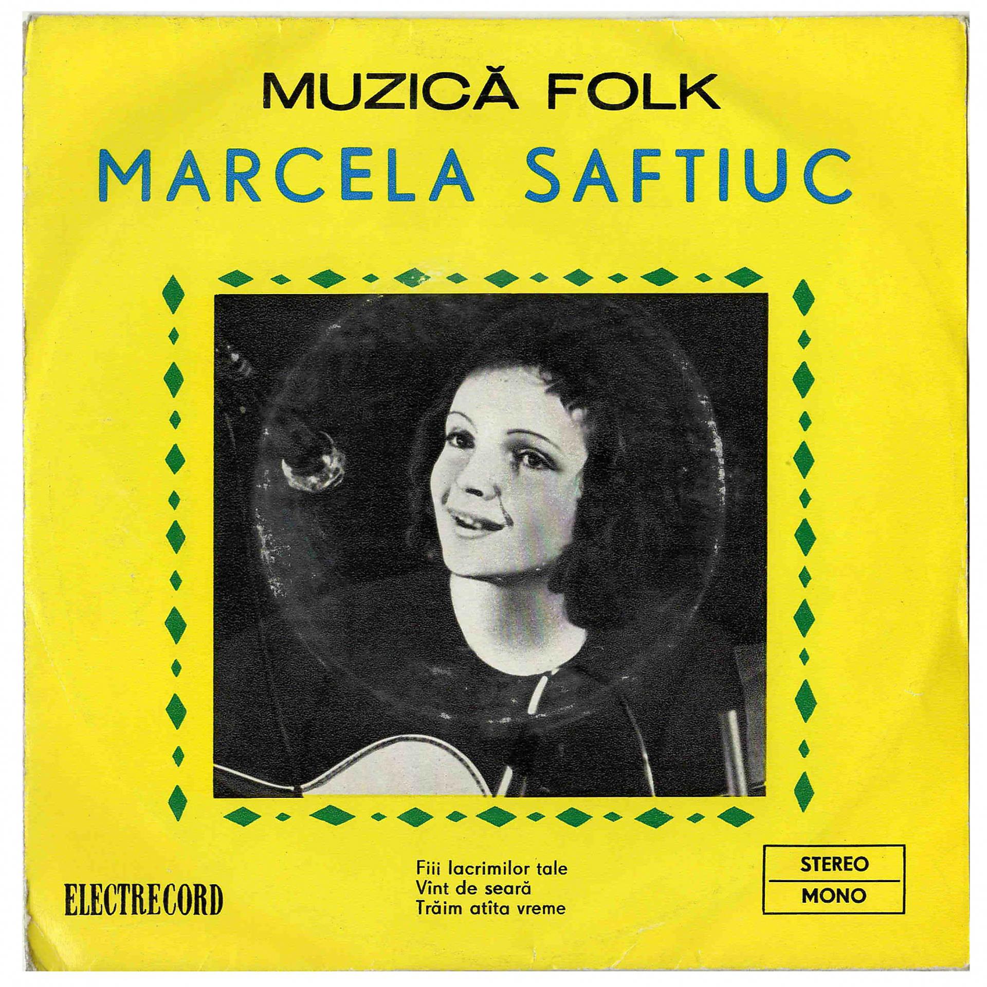 Постер альбома Muzică Folk, Vol. 1