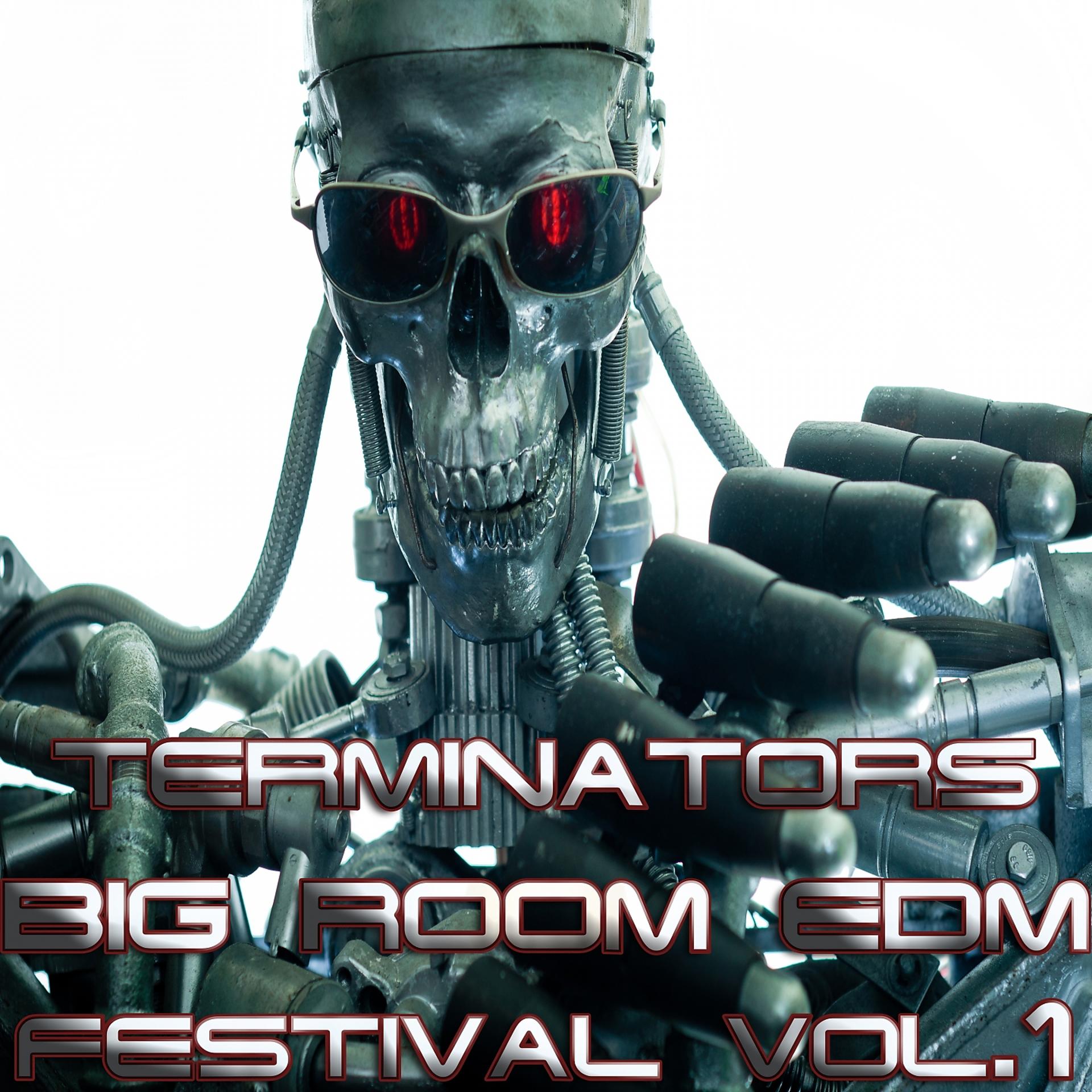 Постер альбома Terminators Big Room, EDM Festival Vol.1