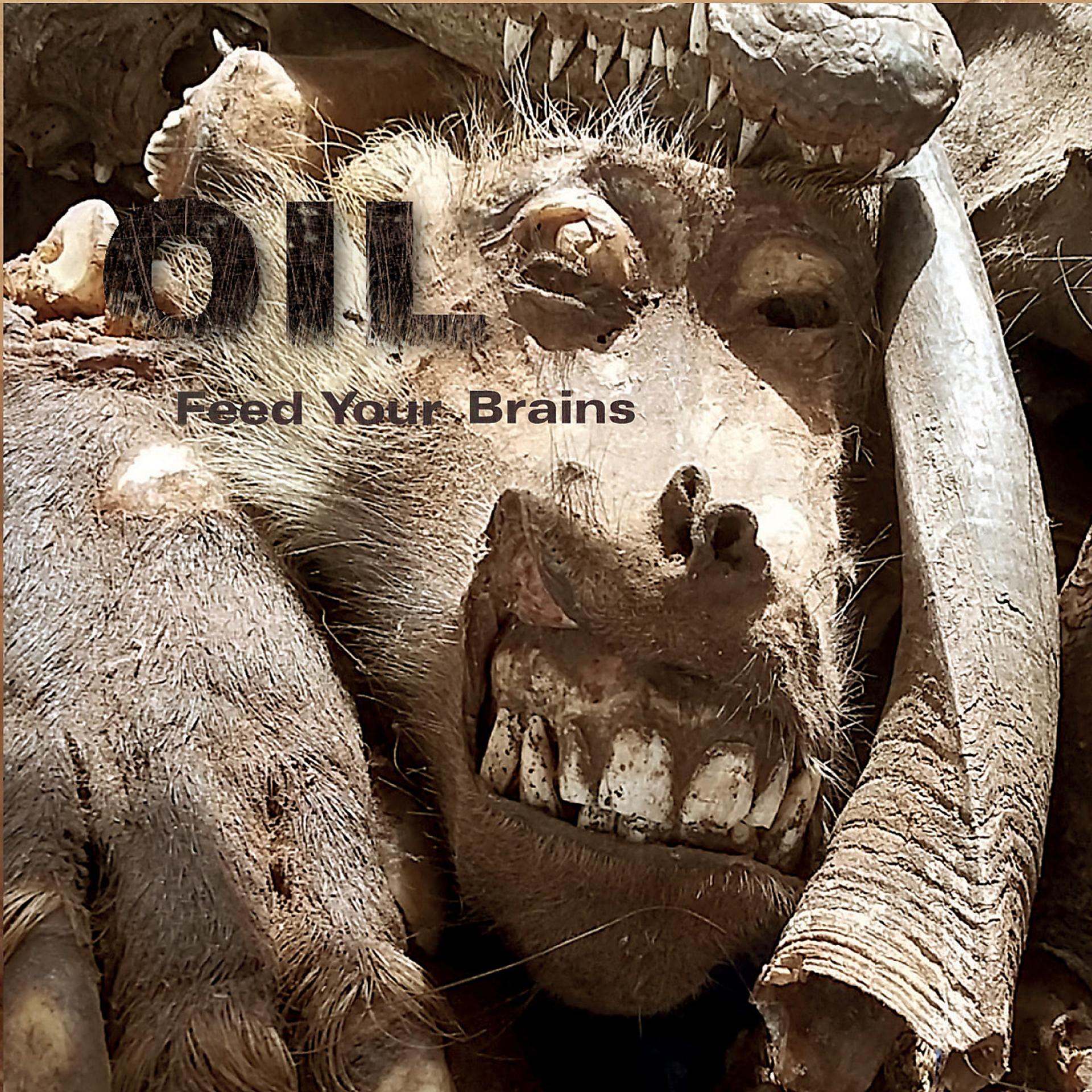 Постер альбома Feed Your Brains