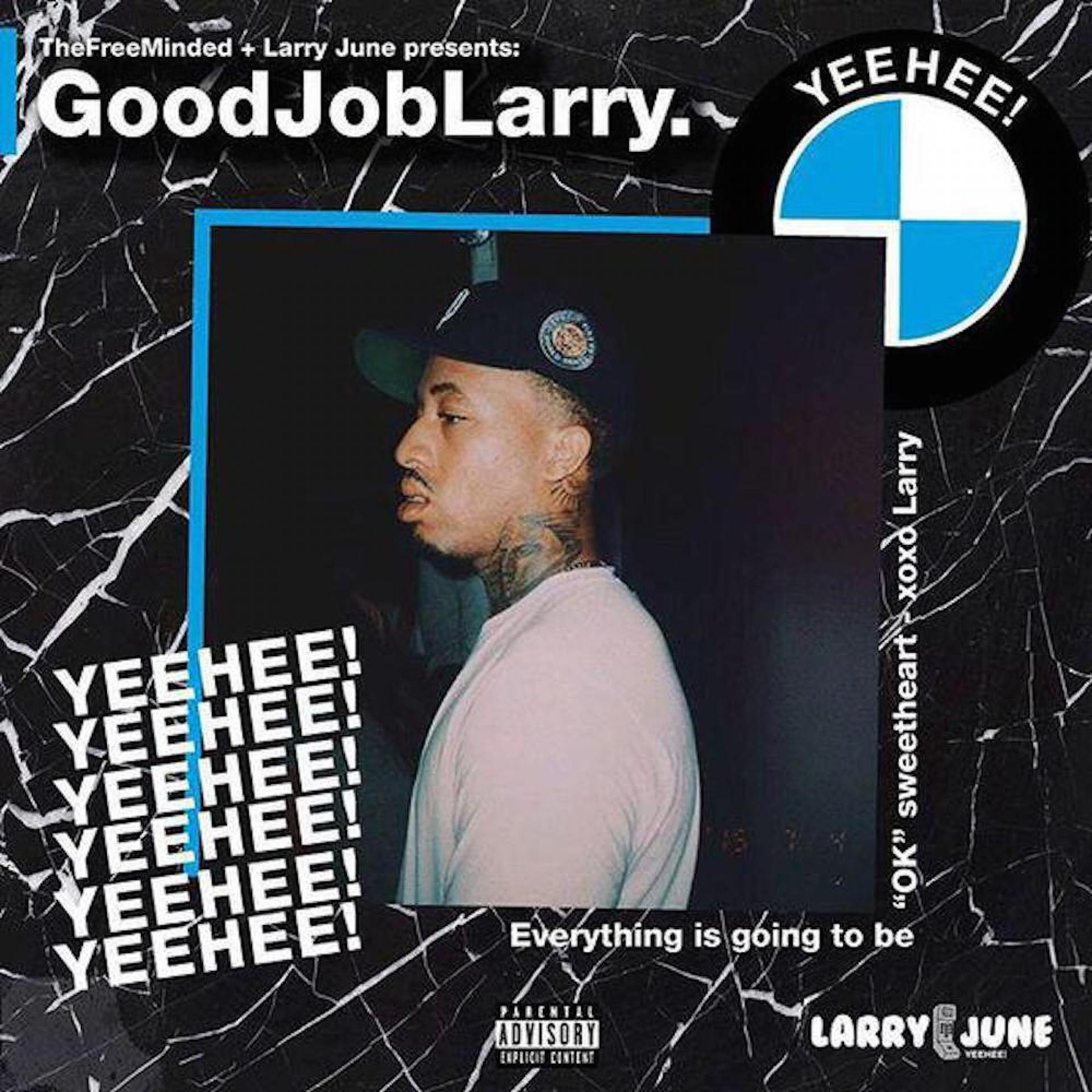 Постер альбома Good Job Larry