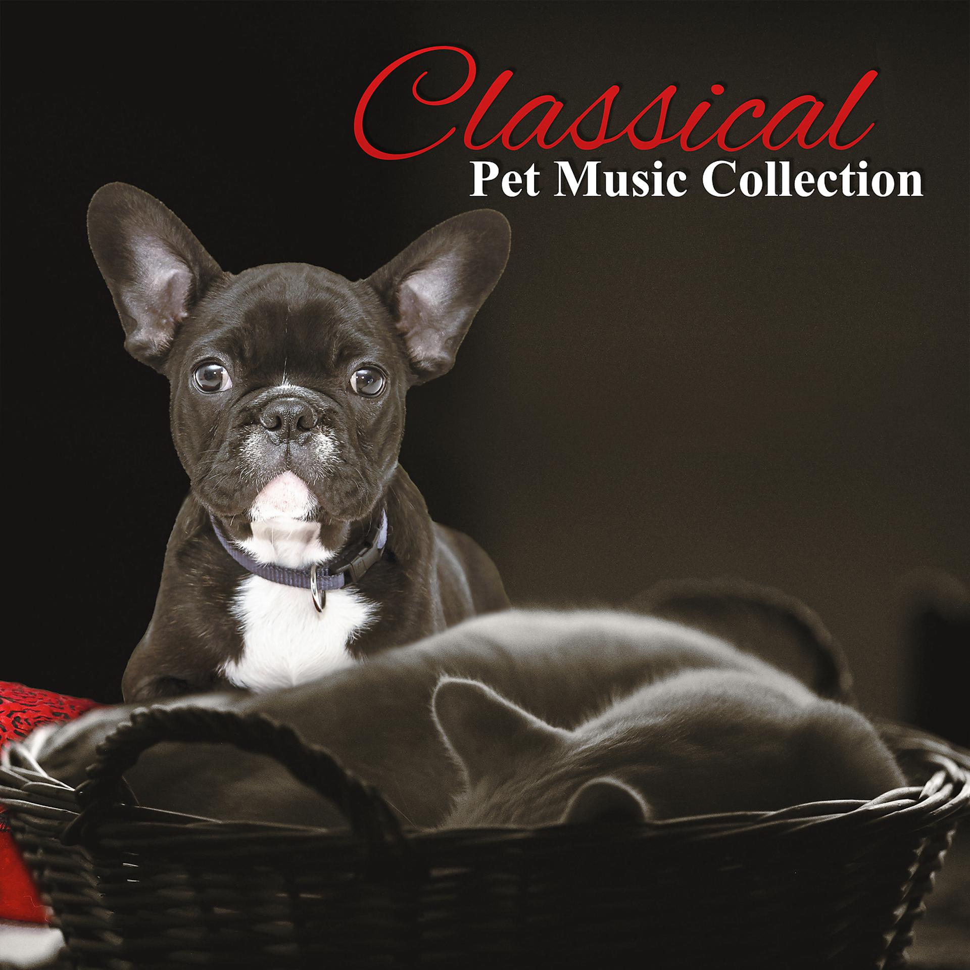 Постер альбома Classical Pet Music Collection – Relax for Dogs & Cats, Calm Down Your Animal